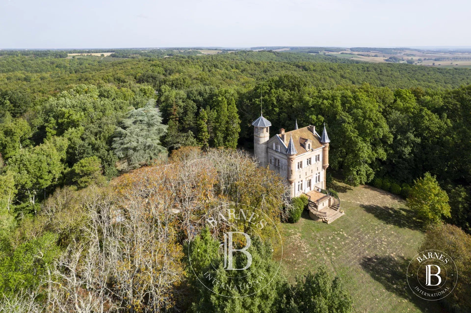 Mauvezin  - Château 10 Pi&egrave;ces 6 Chambres - picture 5