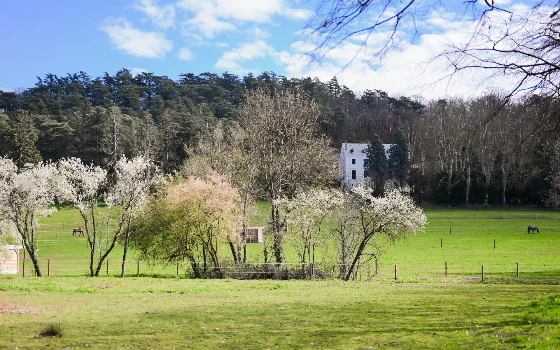 Vente Appartement Vourles