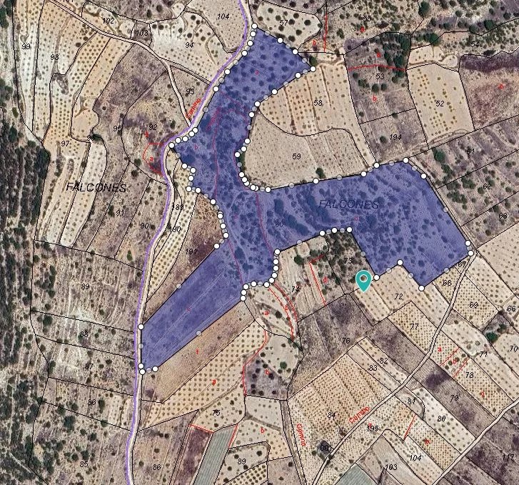 Vente Terrain 