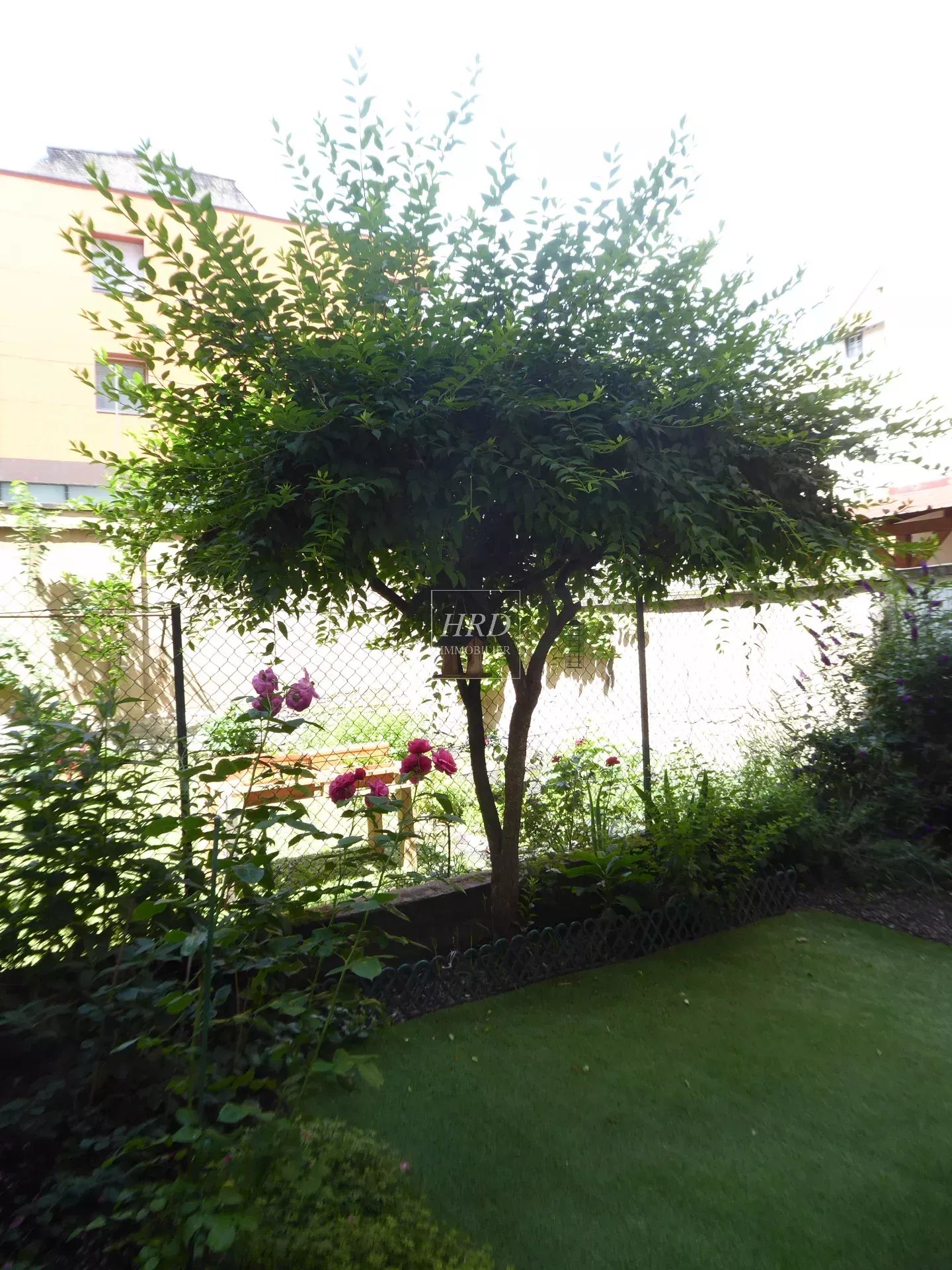 Location Appartement Strasbourg