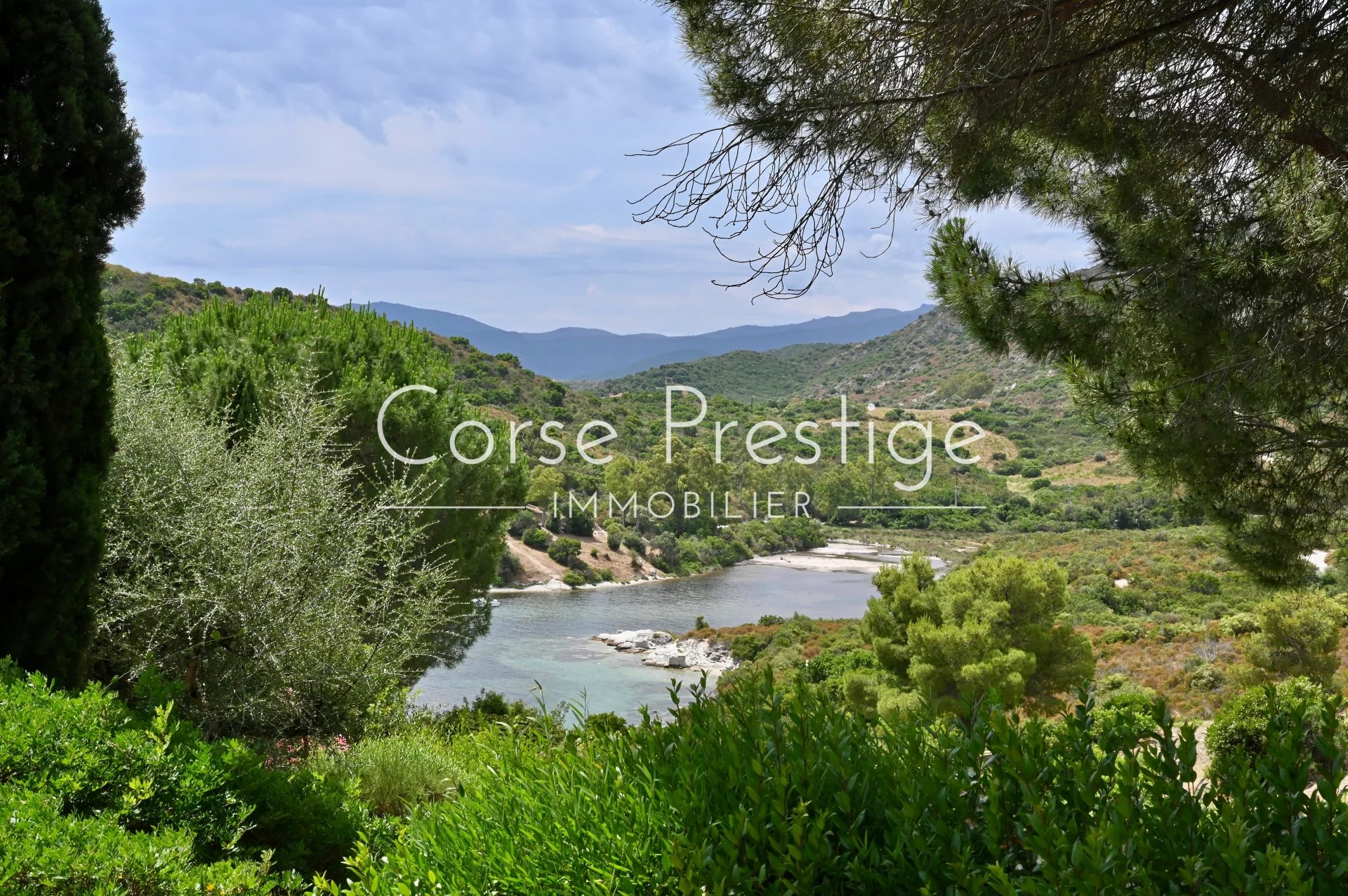propriete exceptionnelle - pieds dans l-eau - saint florent - haute corse image4