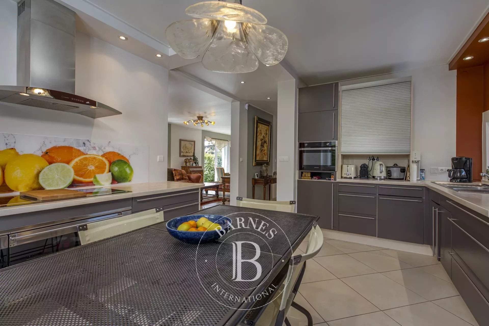 Ev Annemasse - picture 5