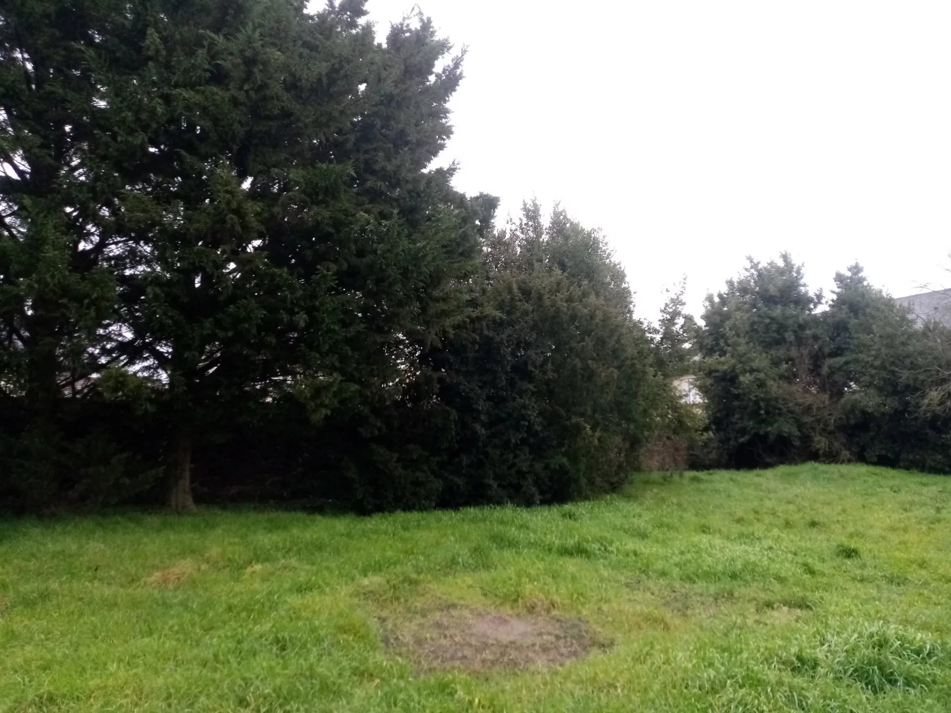 Vente Terrain Montjean-sur-Loire