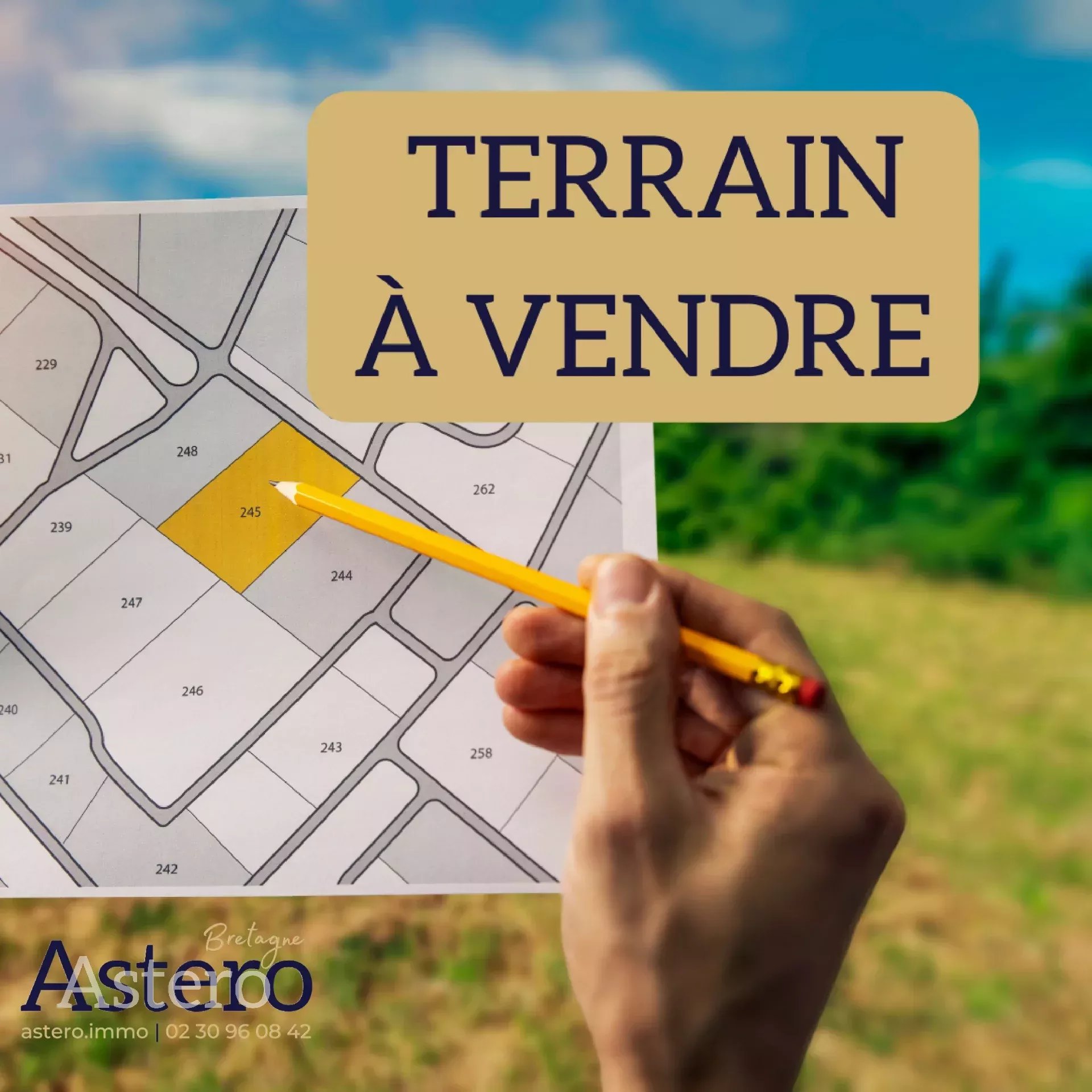 Agence immobilière de 