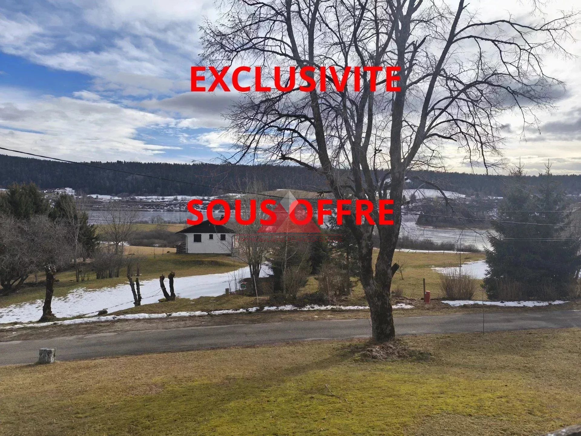 Agence immobilière de 