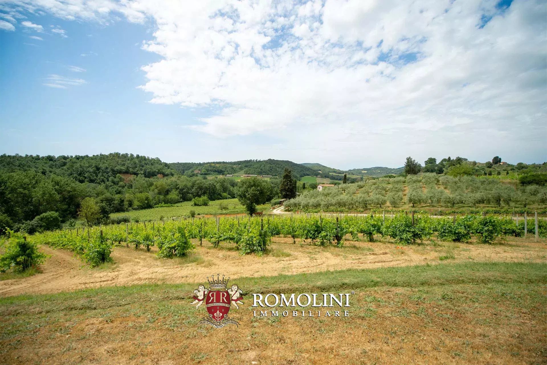 2 Bedroom Vineyard's Image 11