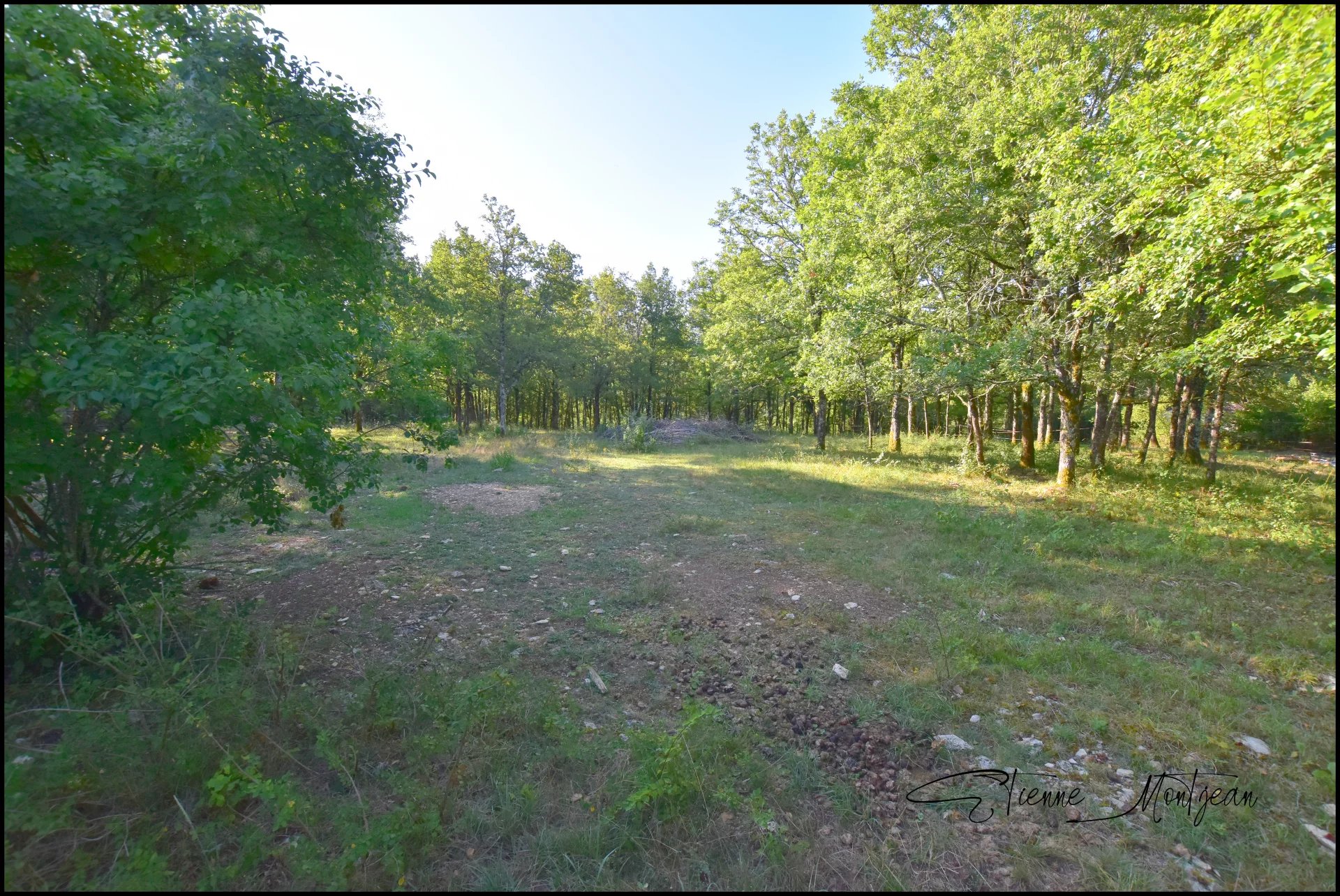 Terrain constructible 1000 m² à Thédirac