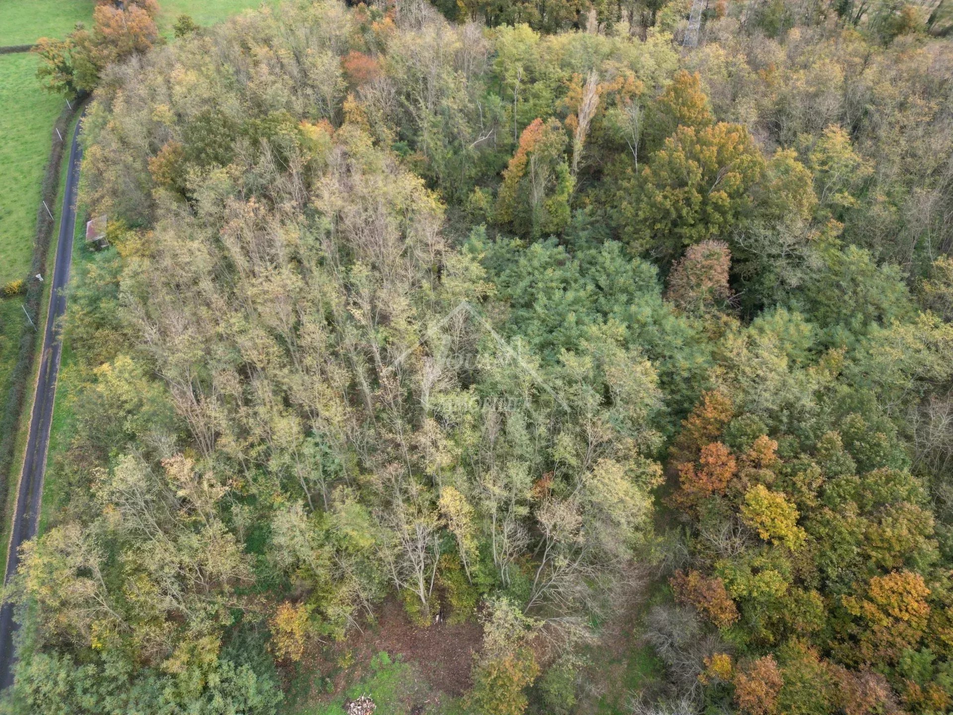 Agence immobilière de Jouan Immobilier