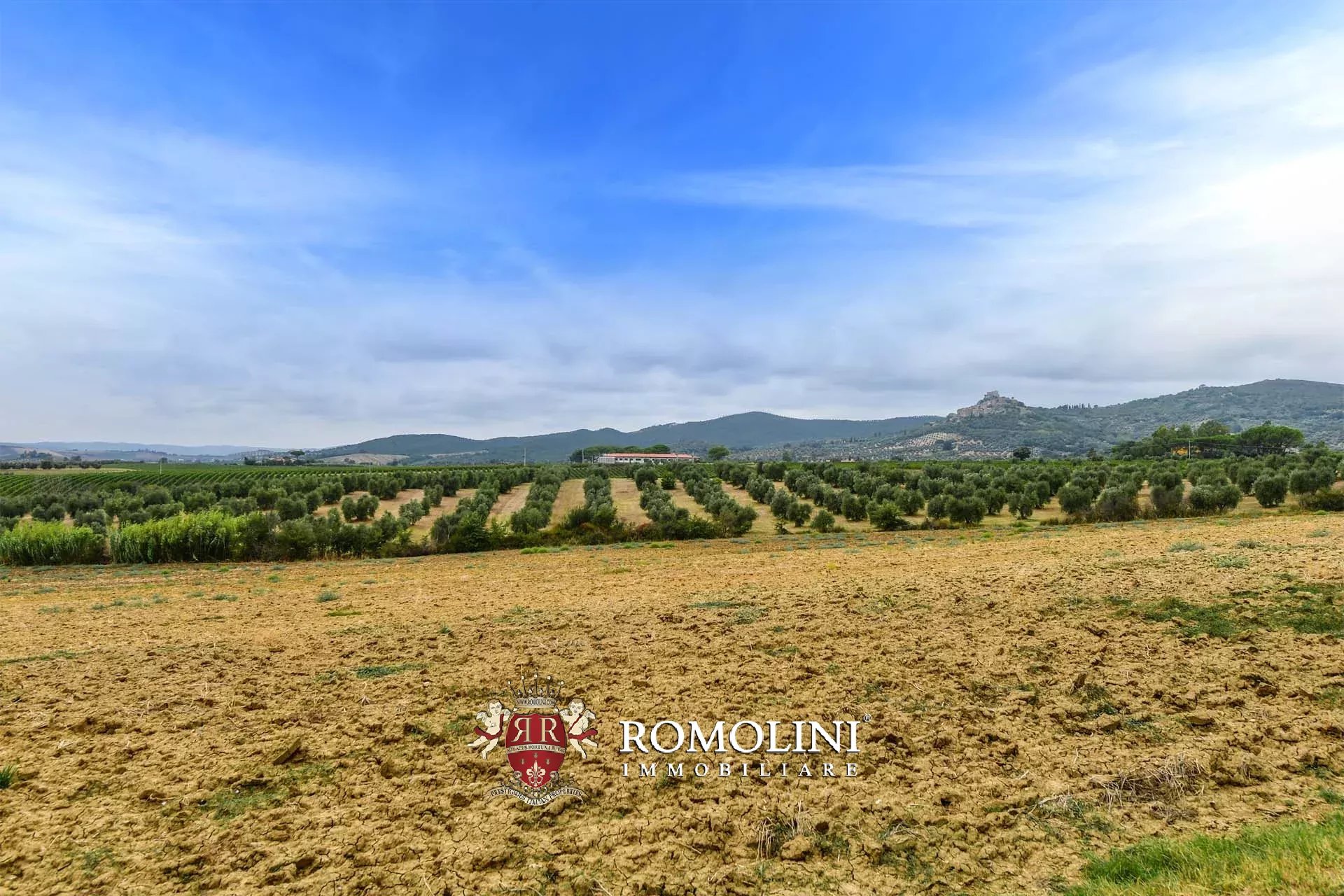 5 Bedroom Vineyard's Image 5