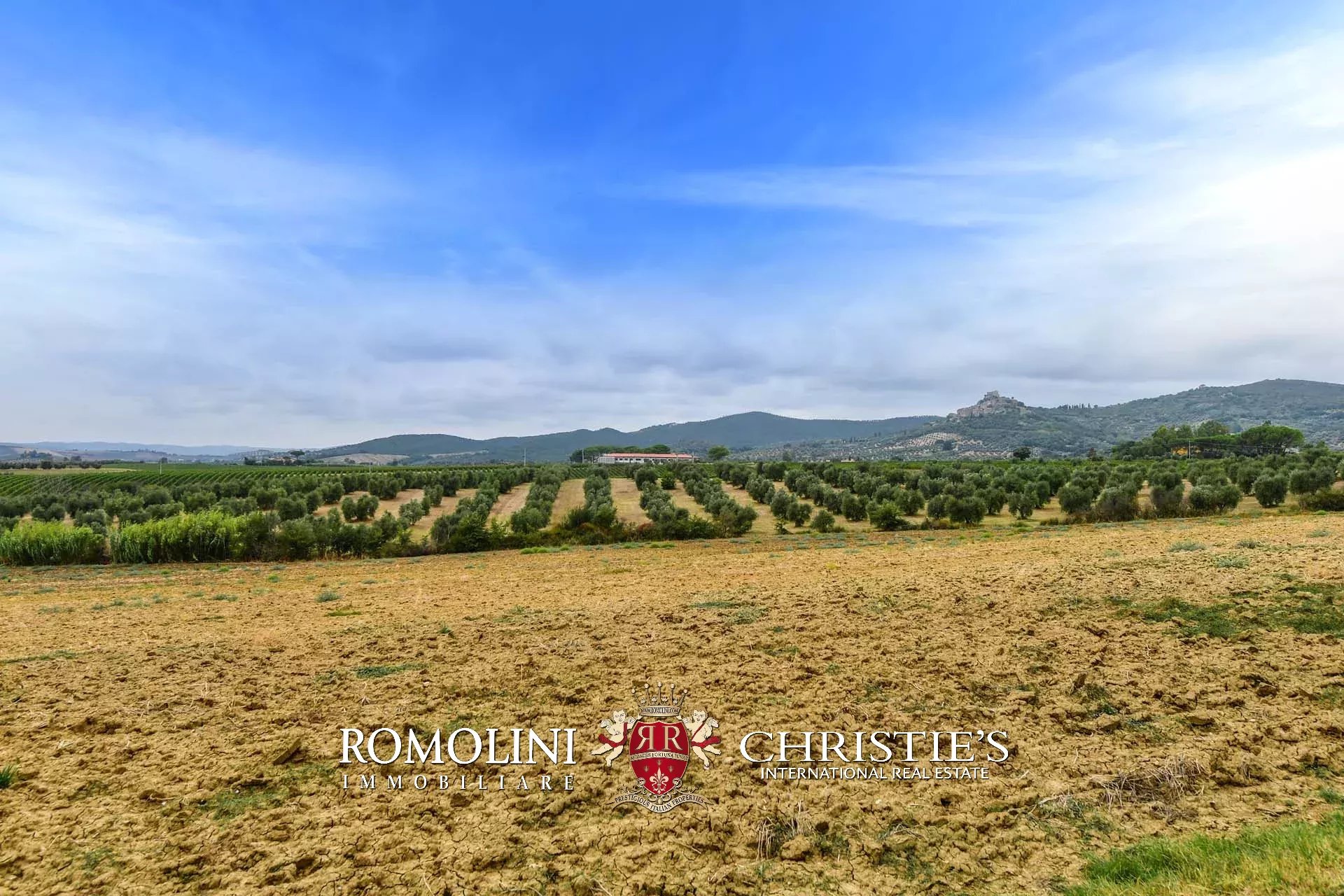 5 Bedroom Vineyard's Image 5