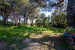 Luxury Villa Project for Sale in Ramatuelle | Family Legacy Estate — photo 7 of 7