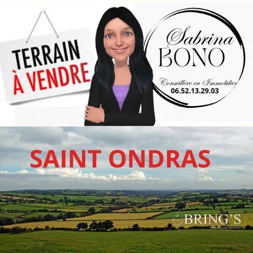 Vente Terrain constructible Saint-Ondras
