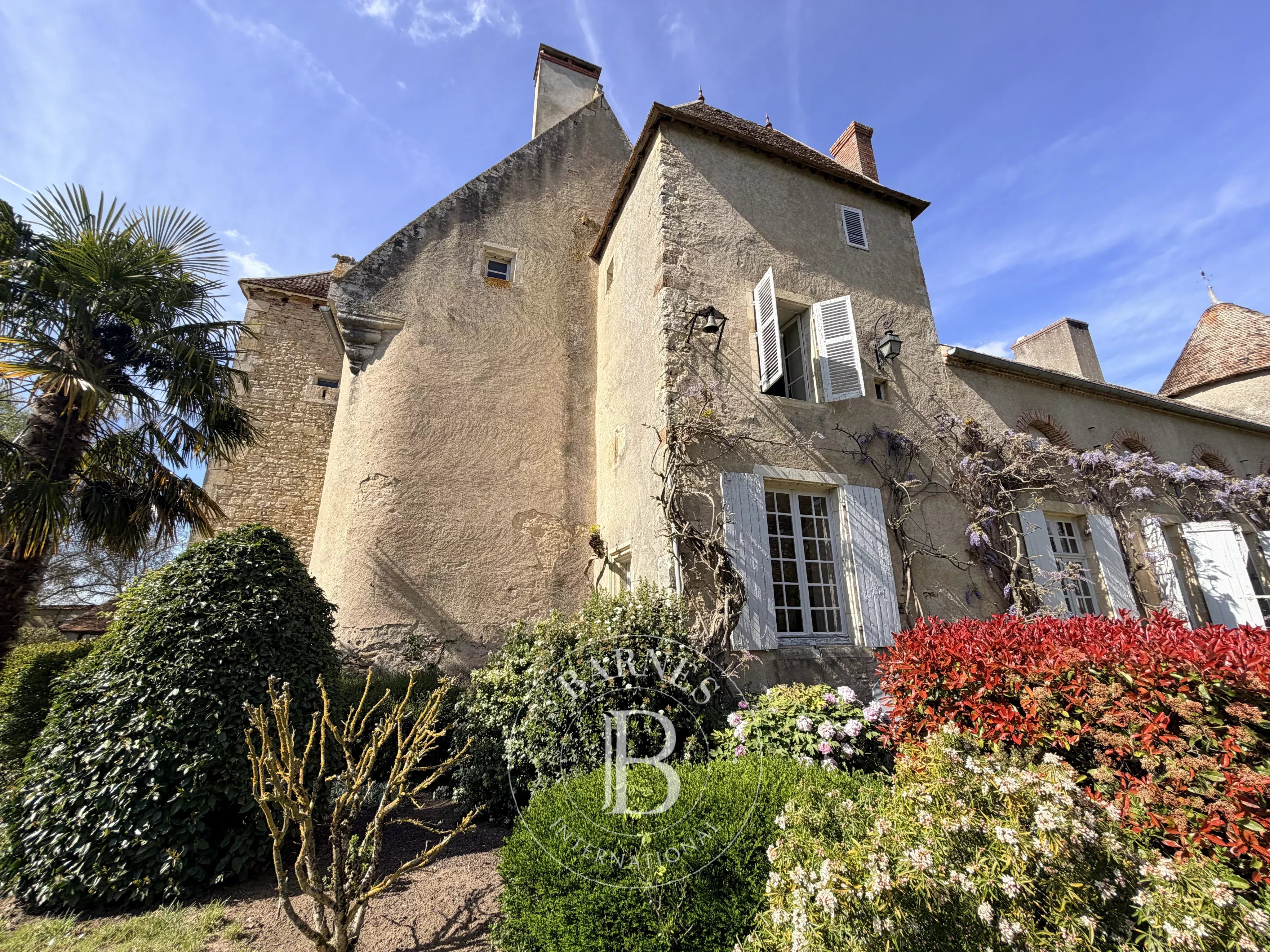 Saint-Amand-Montrond  - Château 12 Pi&egrave;ces 8 Chambres - picture 5