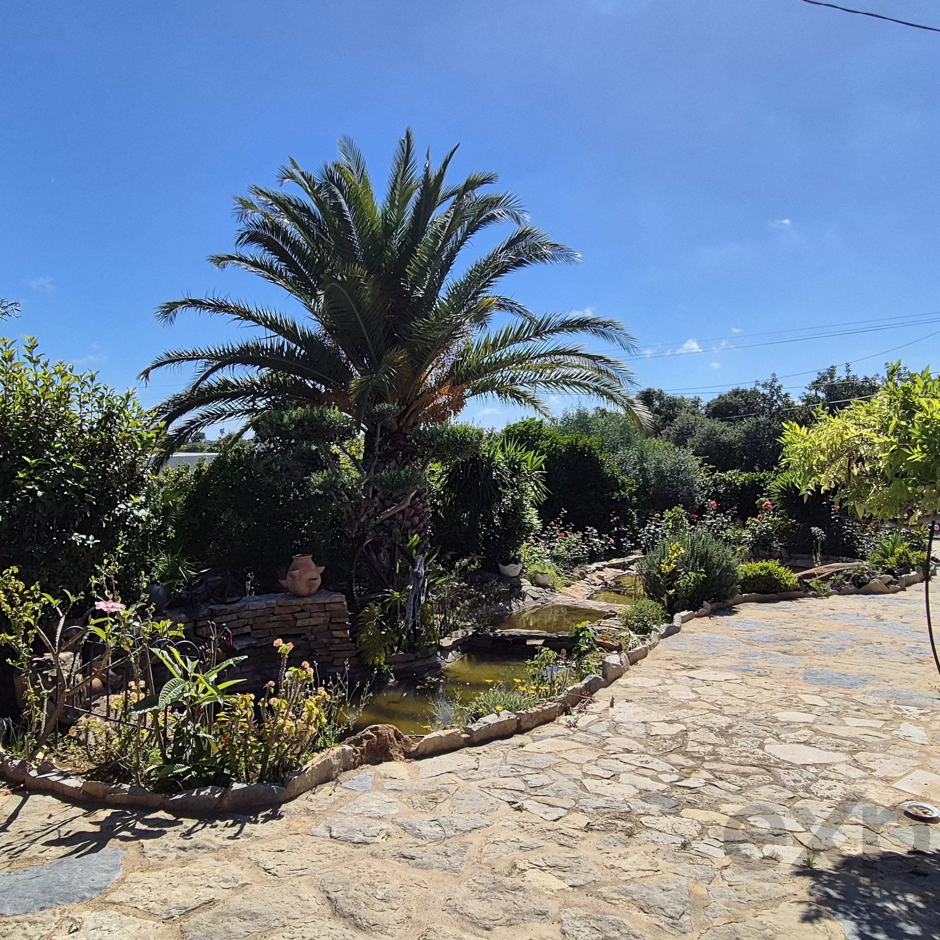 Country house with swimming pool 87034529 image 37