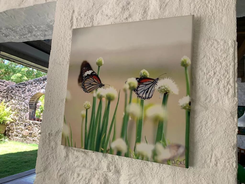 Villa Pereybère - picture 28