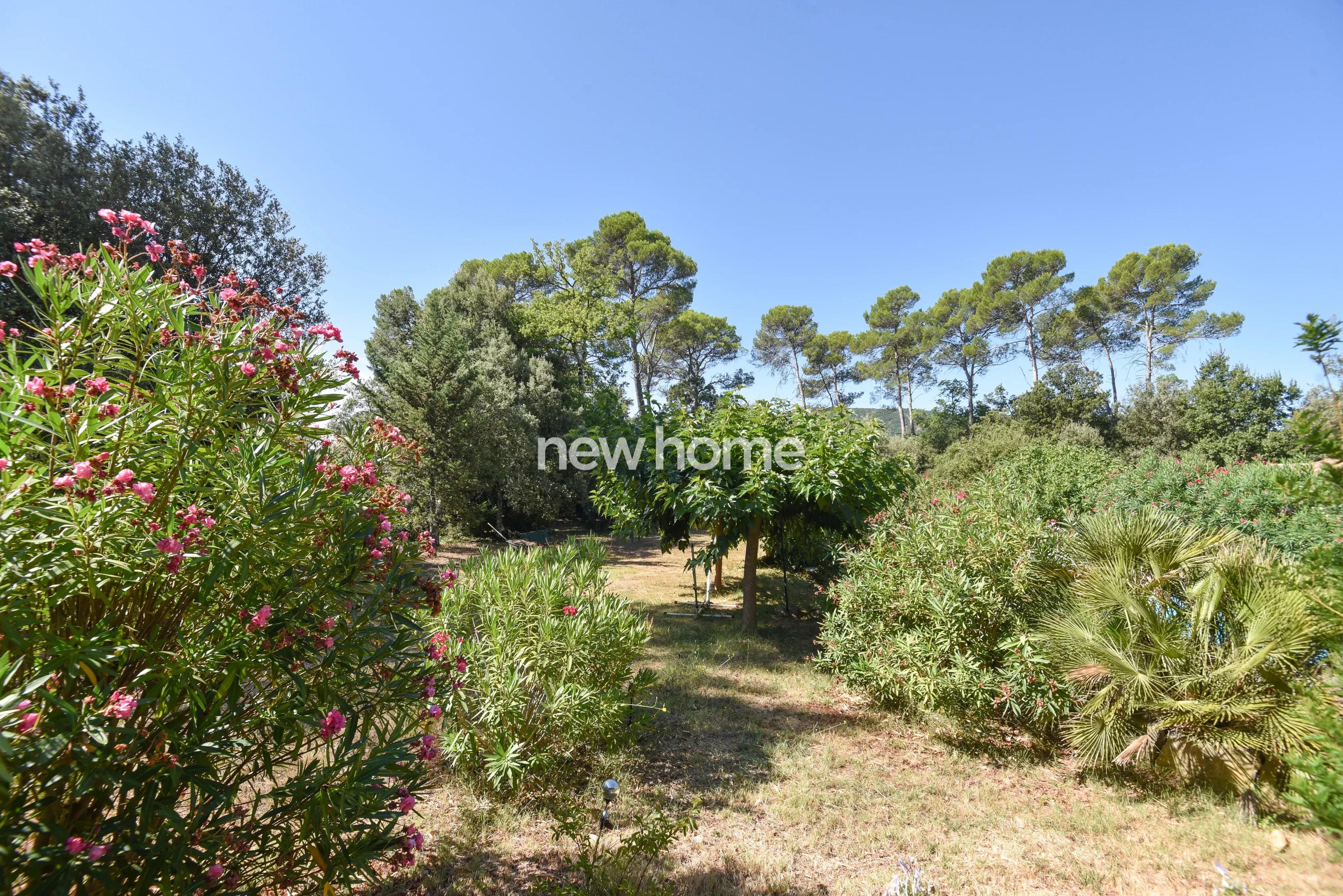 Magnifique bastide de charme avec une belle dependance au calme