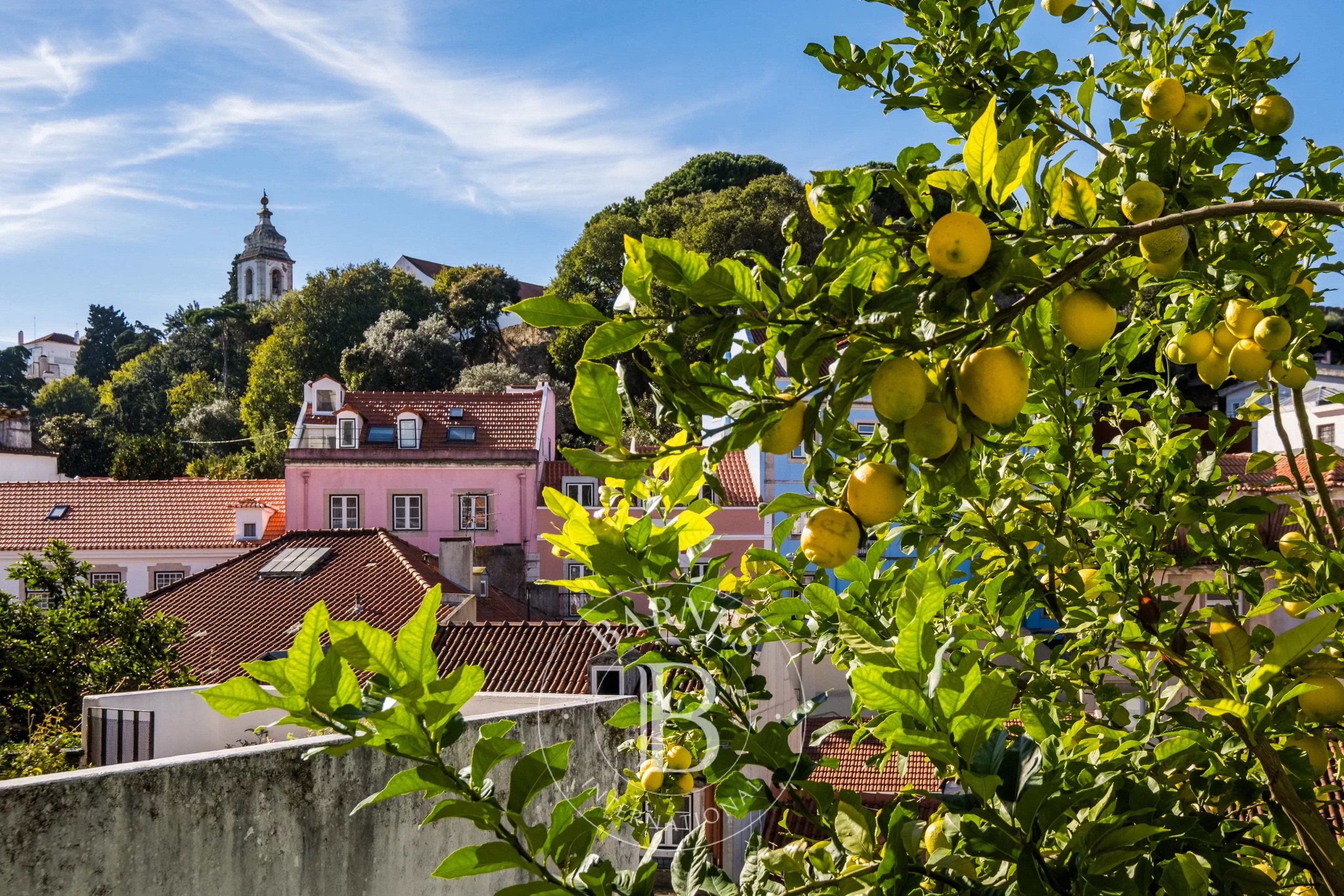 86230805 – São Vicente