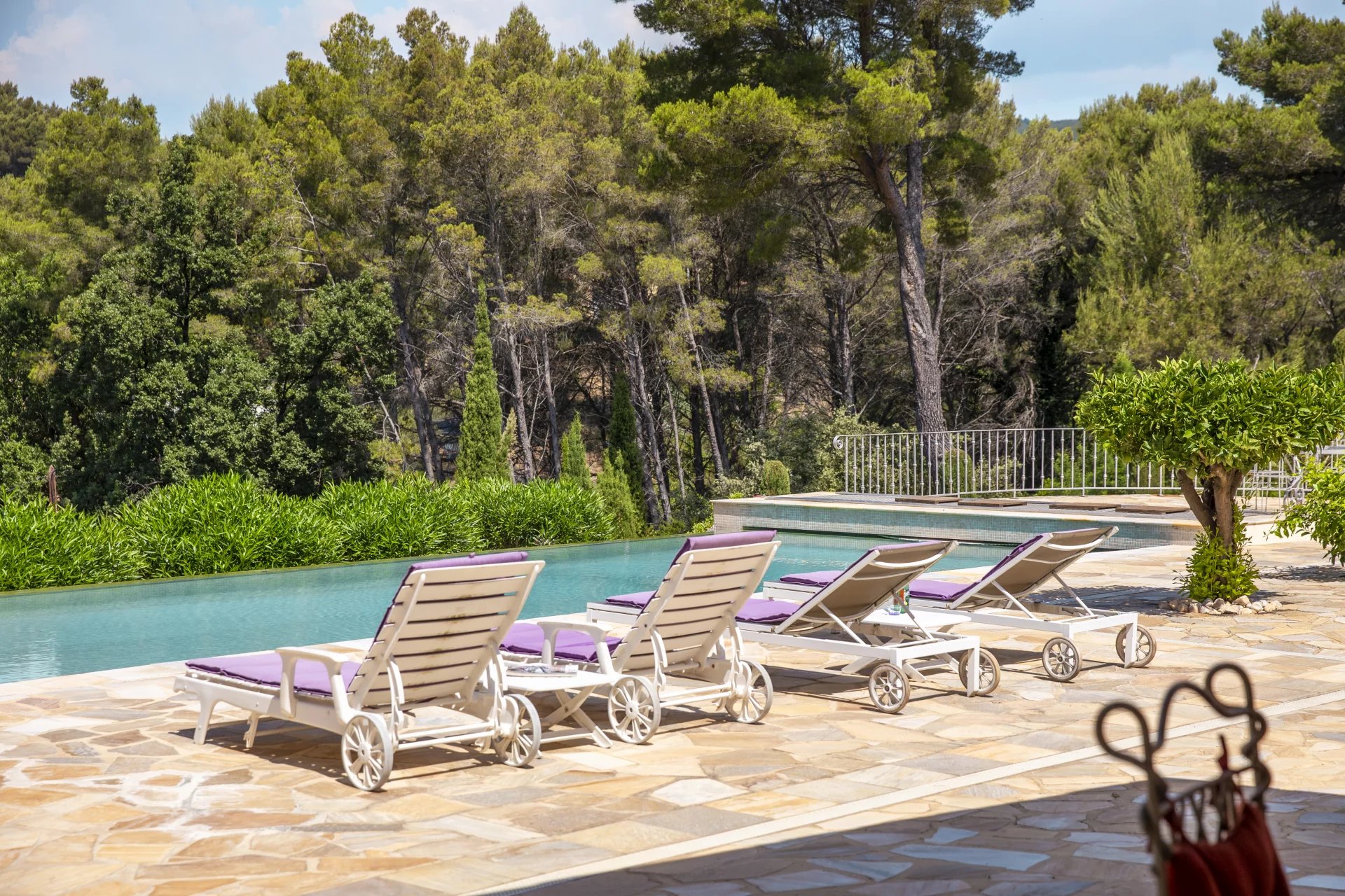Magnificent property - Cabris