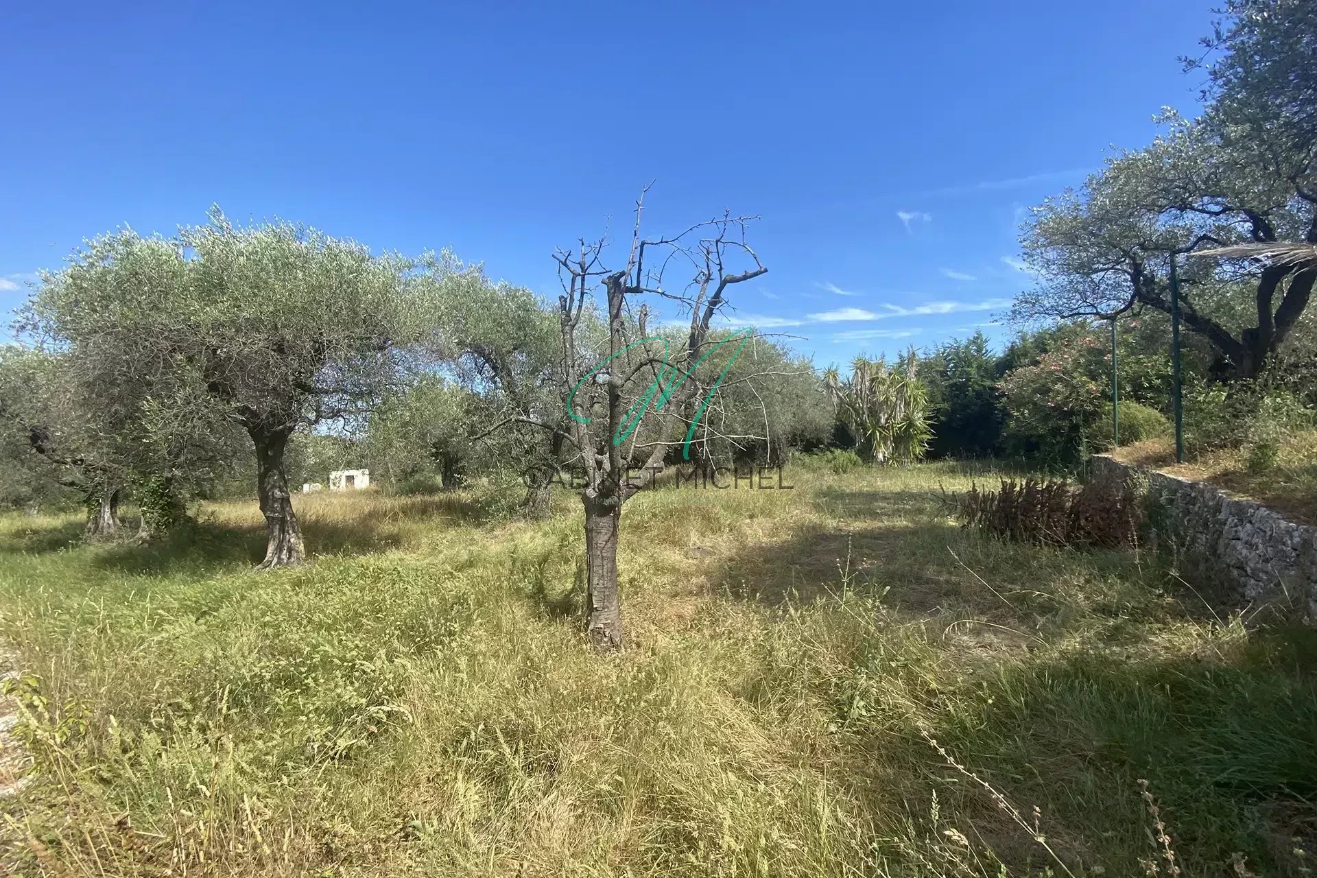 COUP DE COEUR- Magnifique terrain en pente douce..