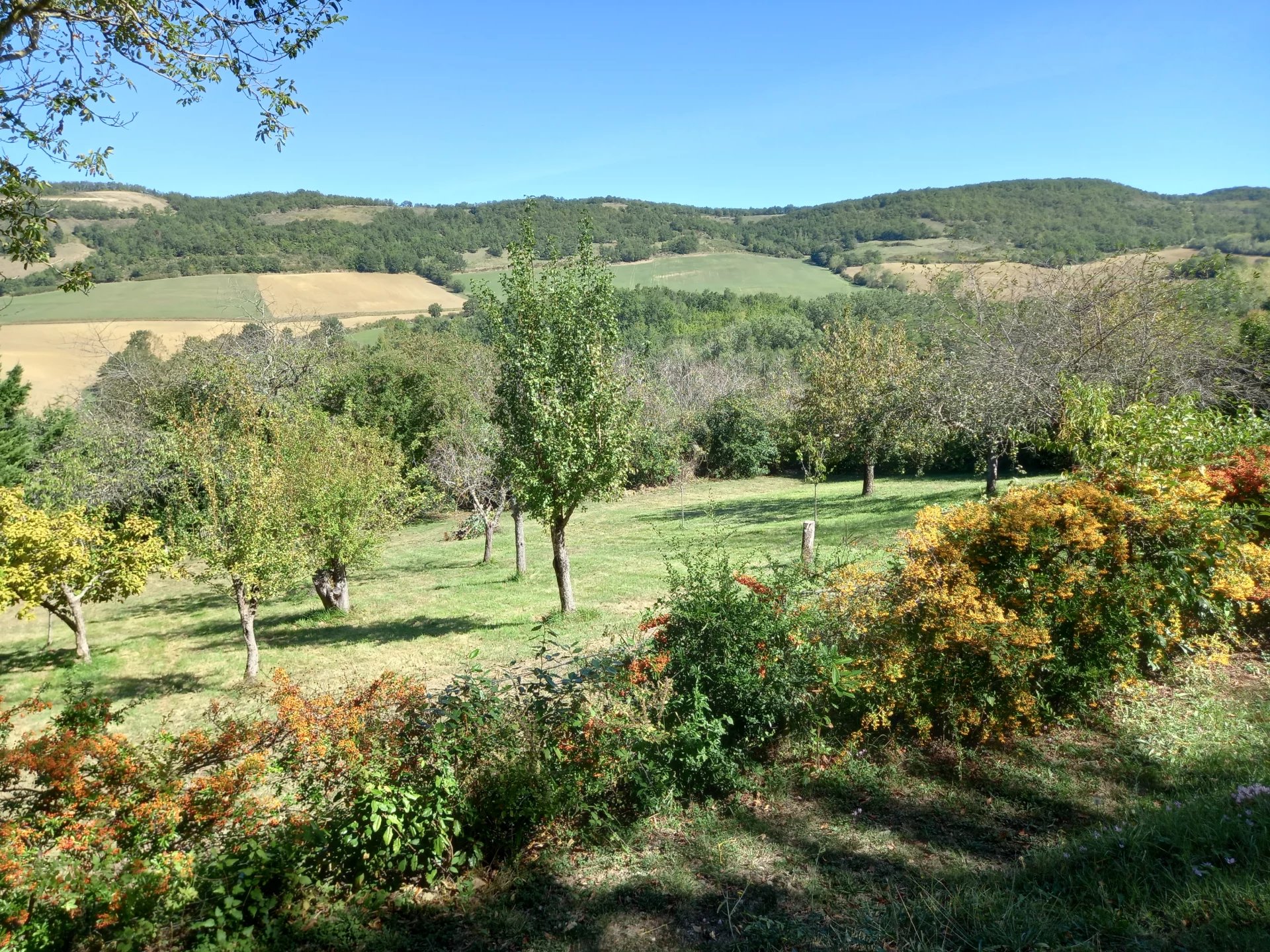 House in Mirepoix - Image 2