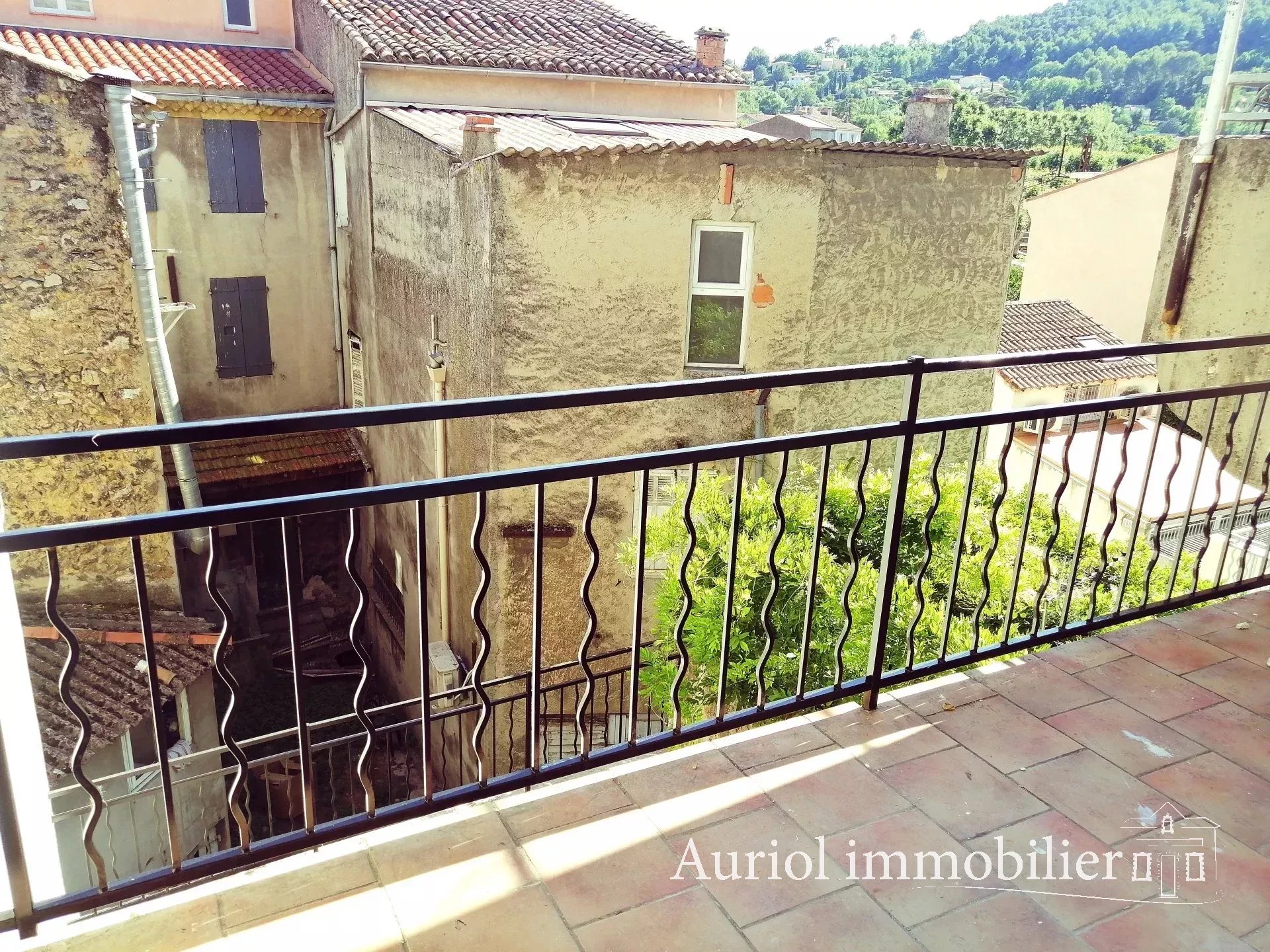 Vente Immeuble Auriol