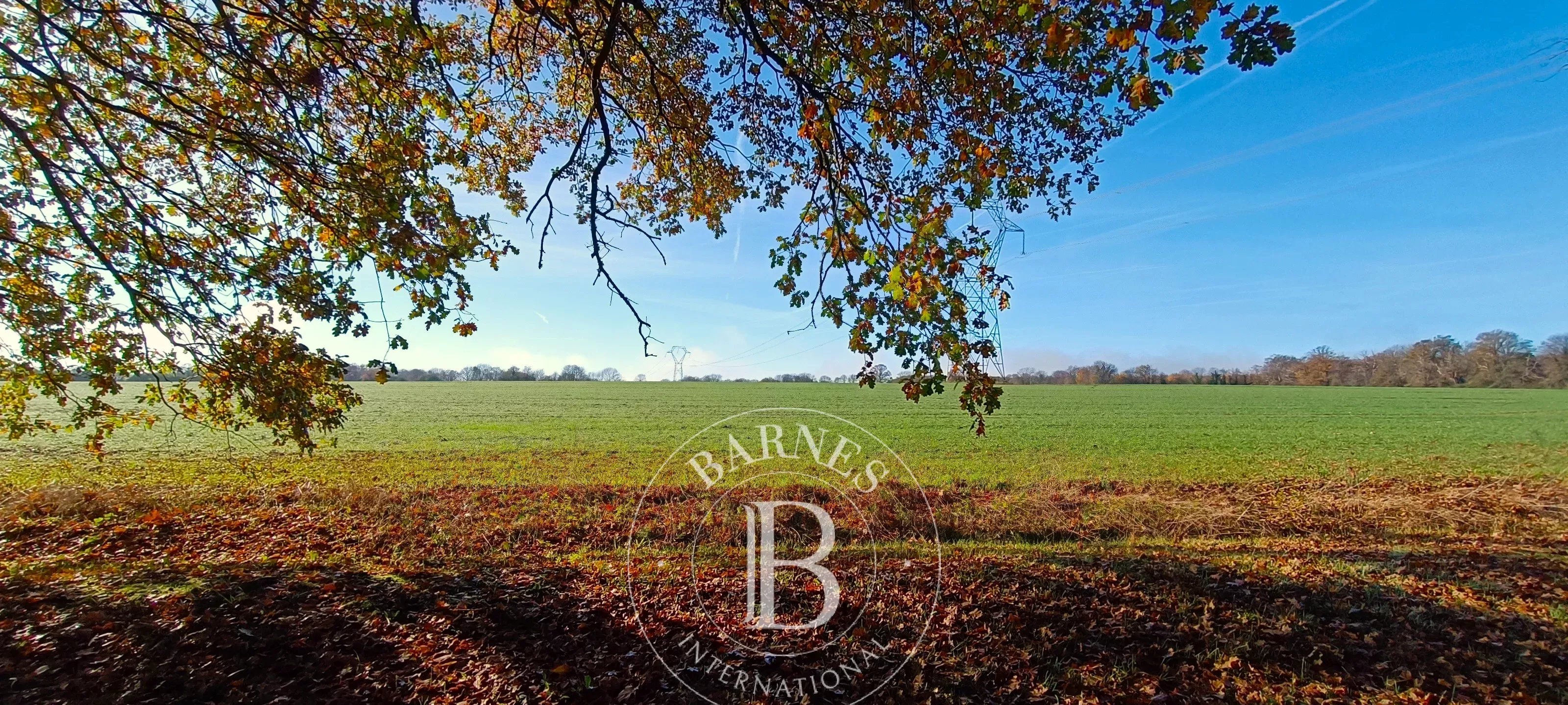 Neuvy-sur-Barangeon  - Propriété  - picture 8