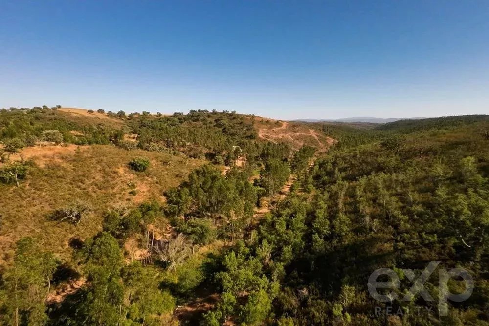 Exceptional 65-Hectare Estate in Alentejo with Tourism Development Potential 85506160 image 11