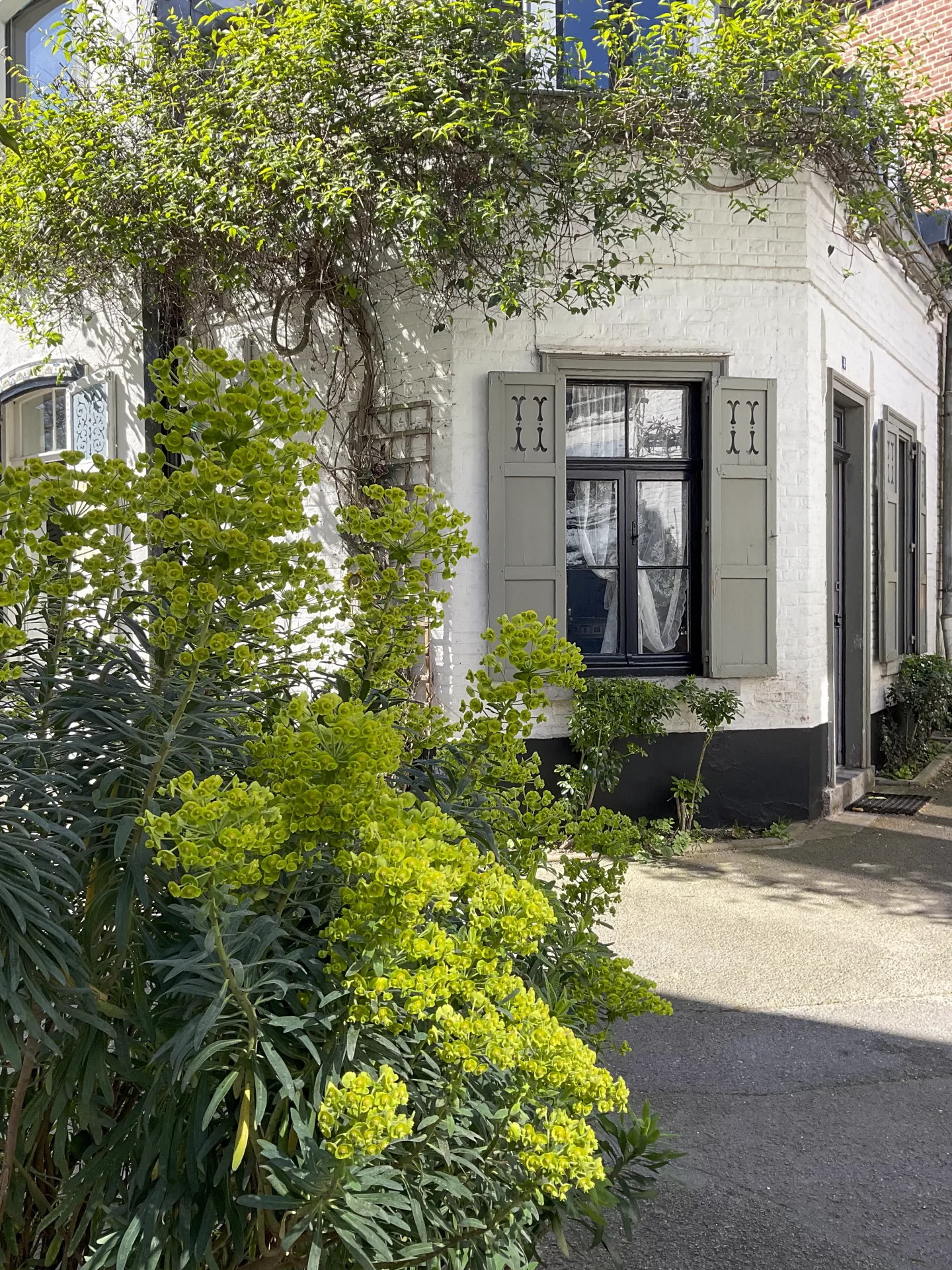 Lille - VAUBAN CITADELLE