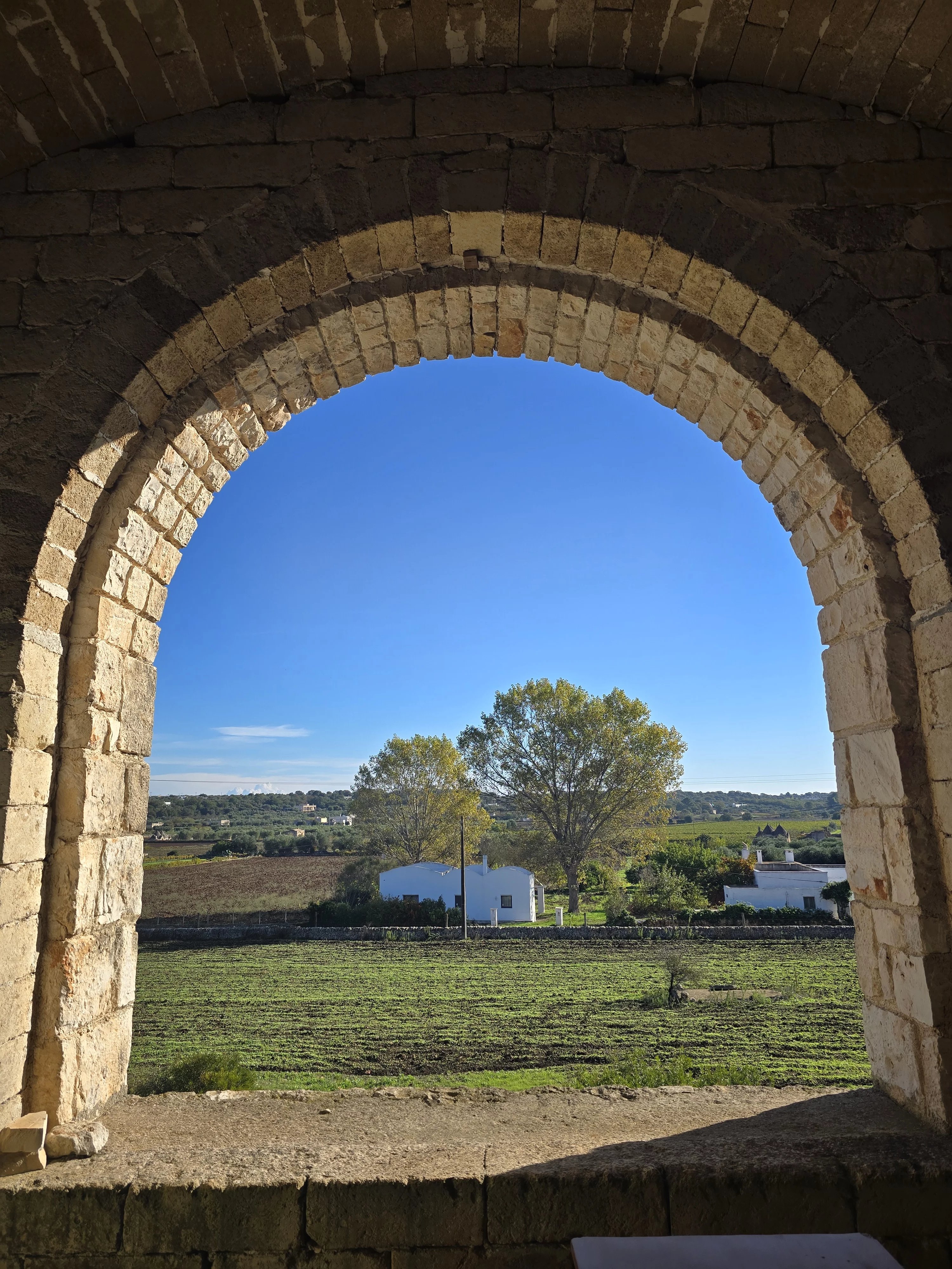 Venta Granja Ceglie Messapica