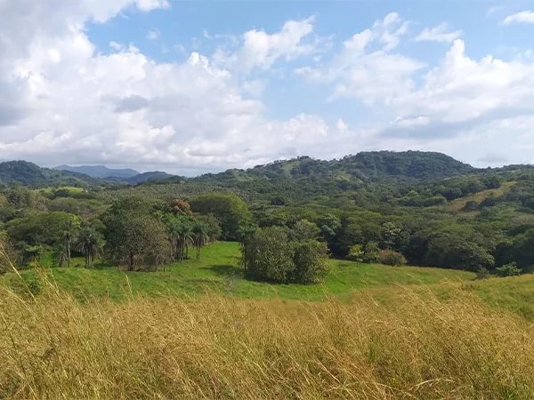 Finca (propiedad) de 78 203 m2 con vistas panorámicas sobre el valle y el mar