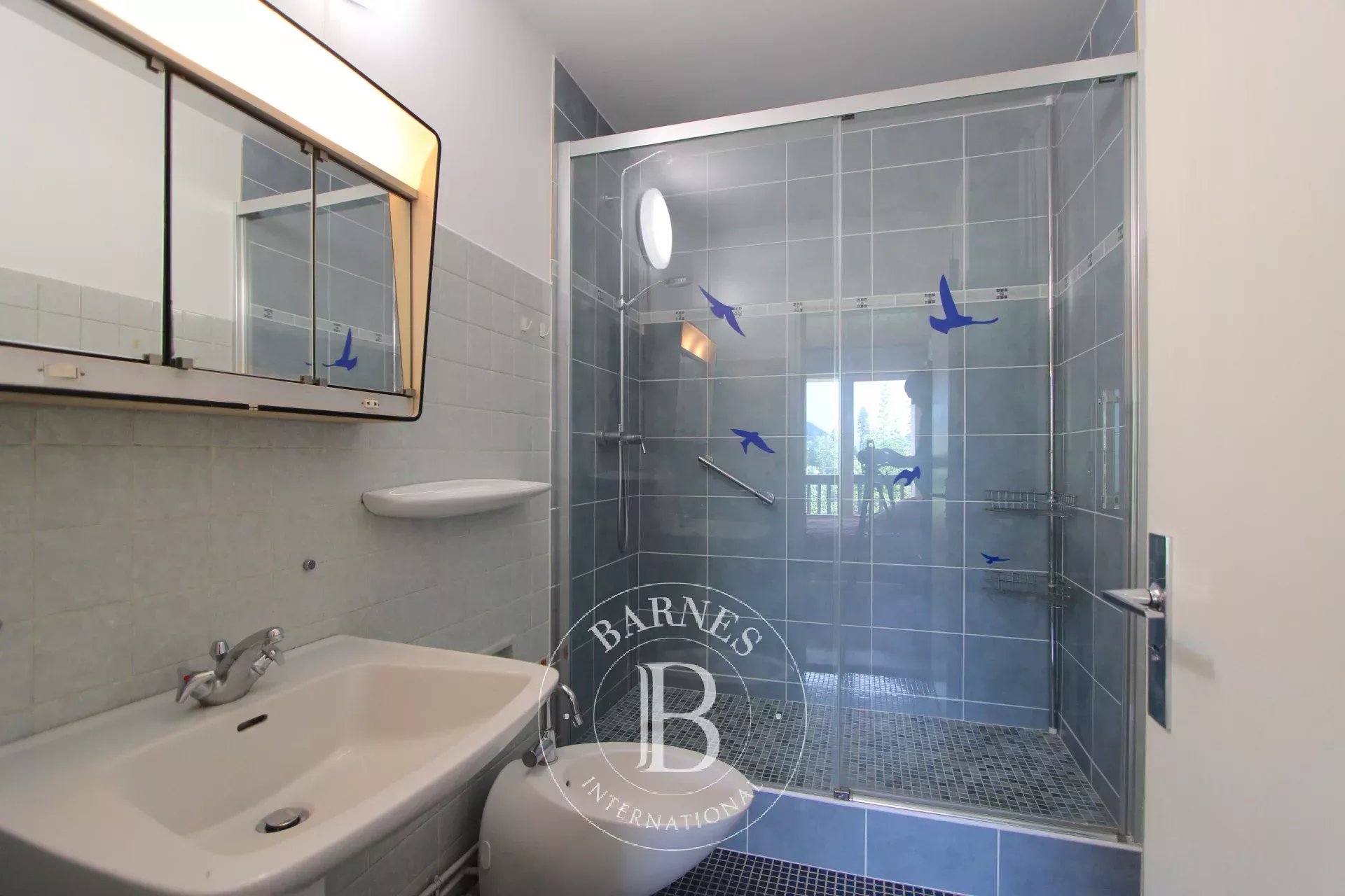 Daire Megève - picture 11