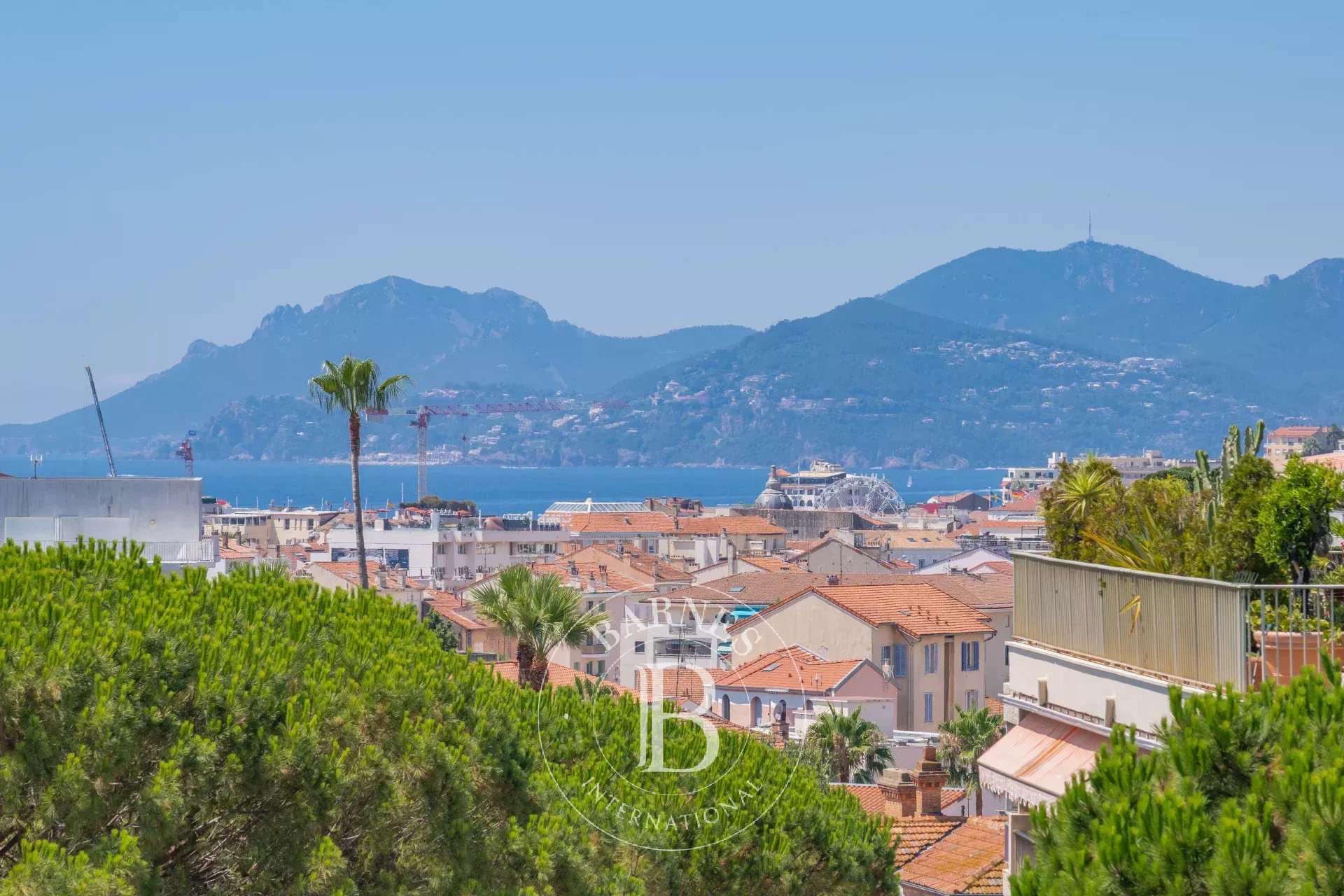 Appartement Cannes  -  ref 87160182 (picture 1)