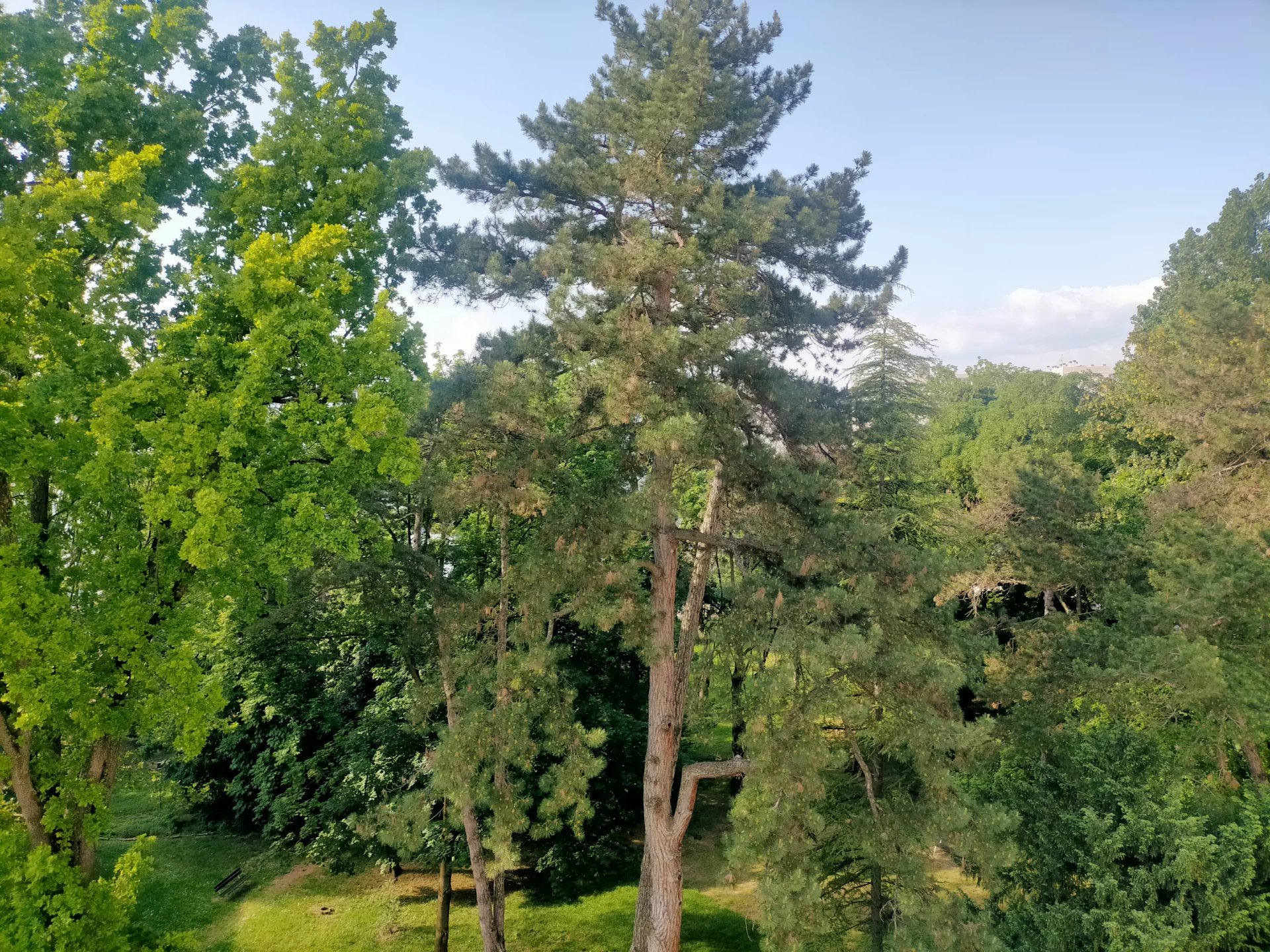 82491351 Location Villeurbanne