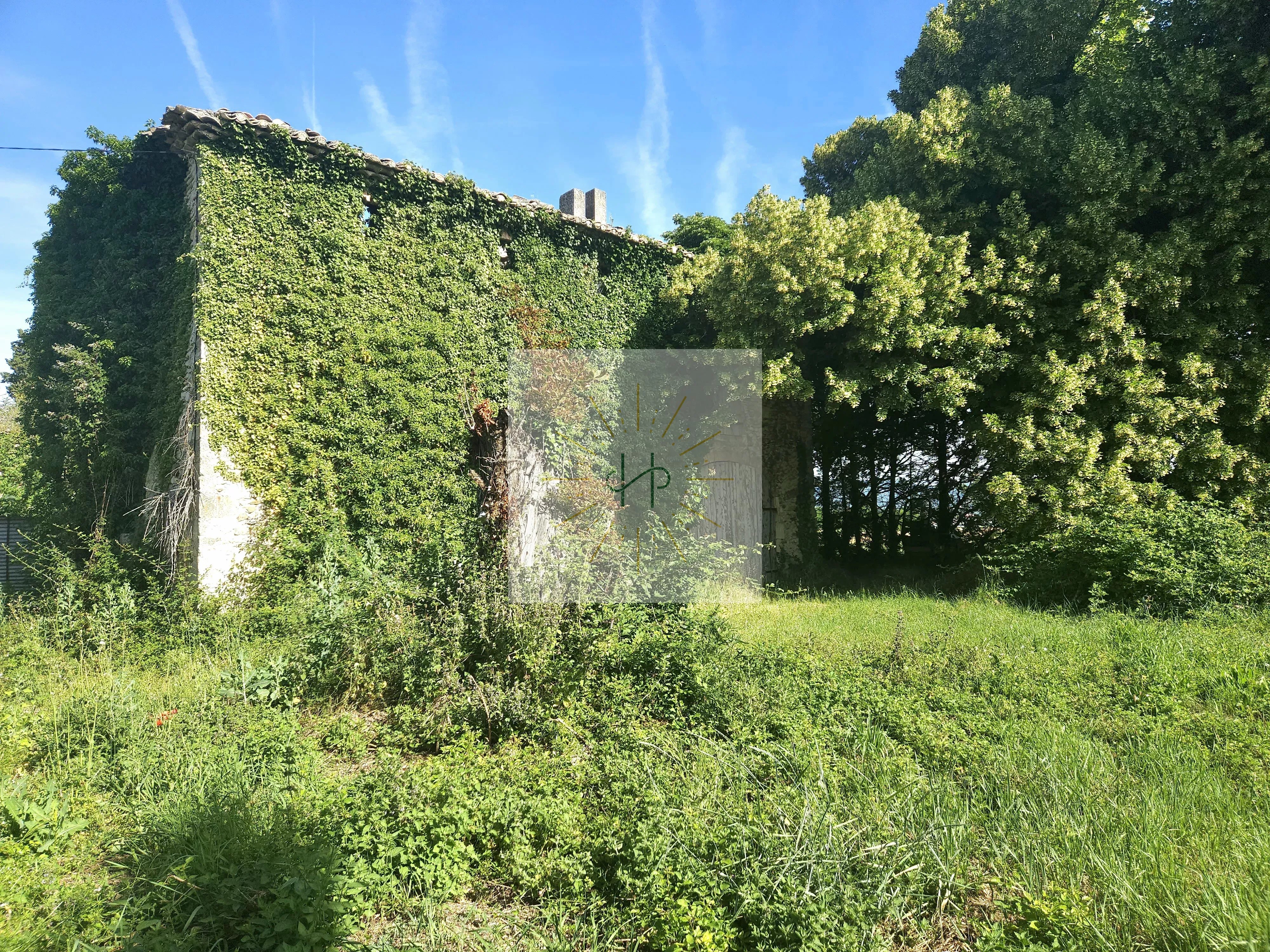 Première Image