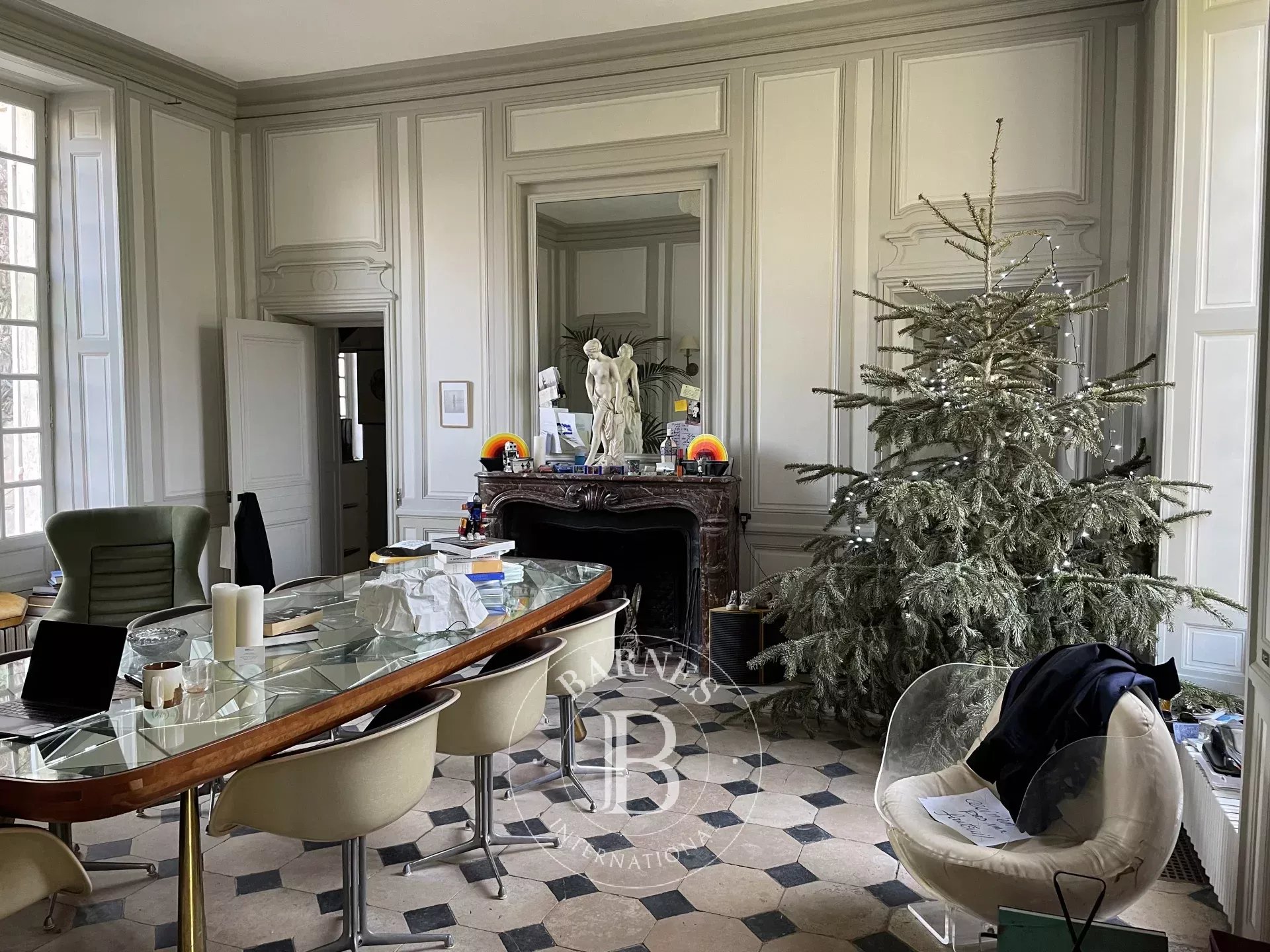 Mansion Verrières-le-Buisson  -  ref 87021463 (picture 3)