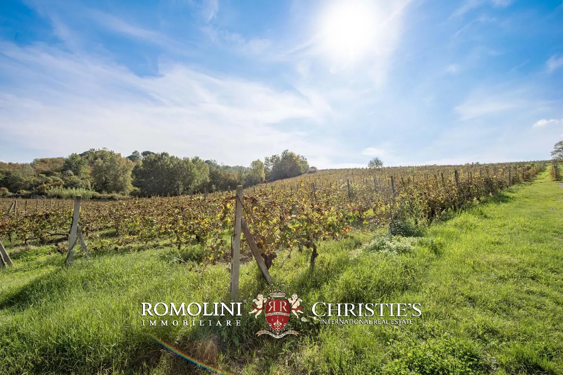 22 Bedroom Vineyard's Image 10
