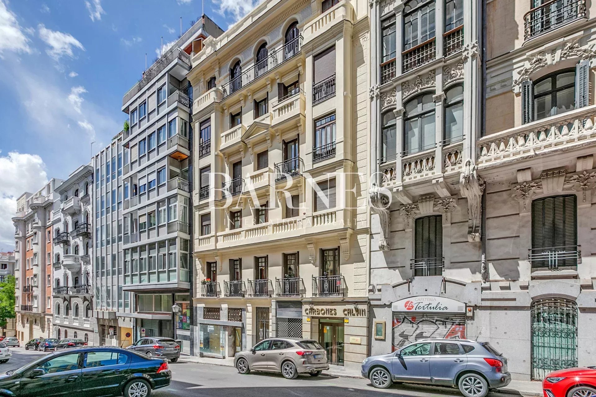 Daire Madrid - picture 28