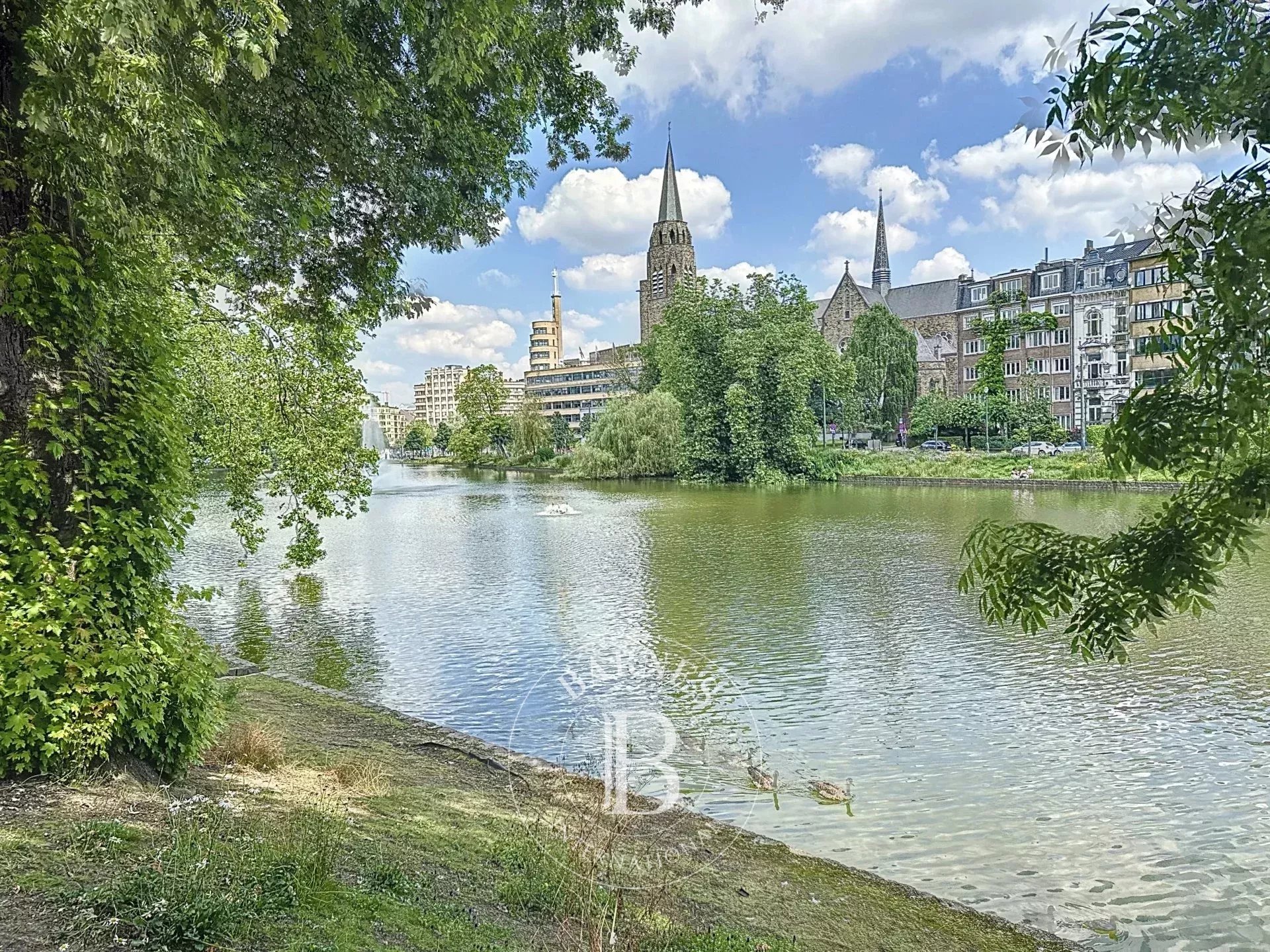 Bright apartment overlooking the Ixelles ponds