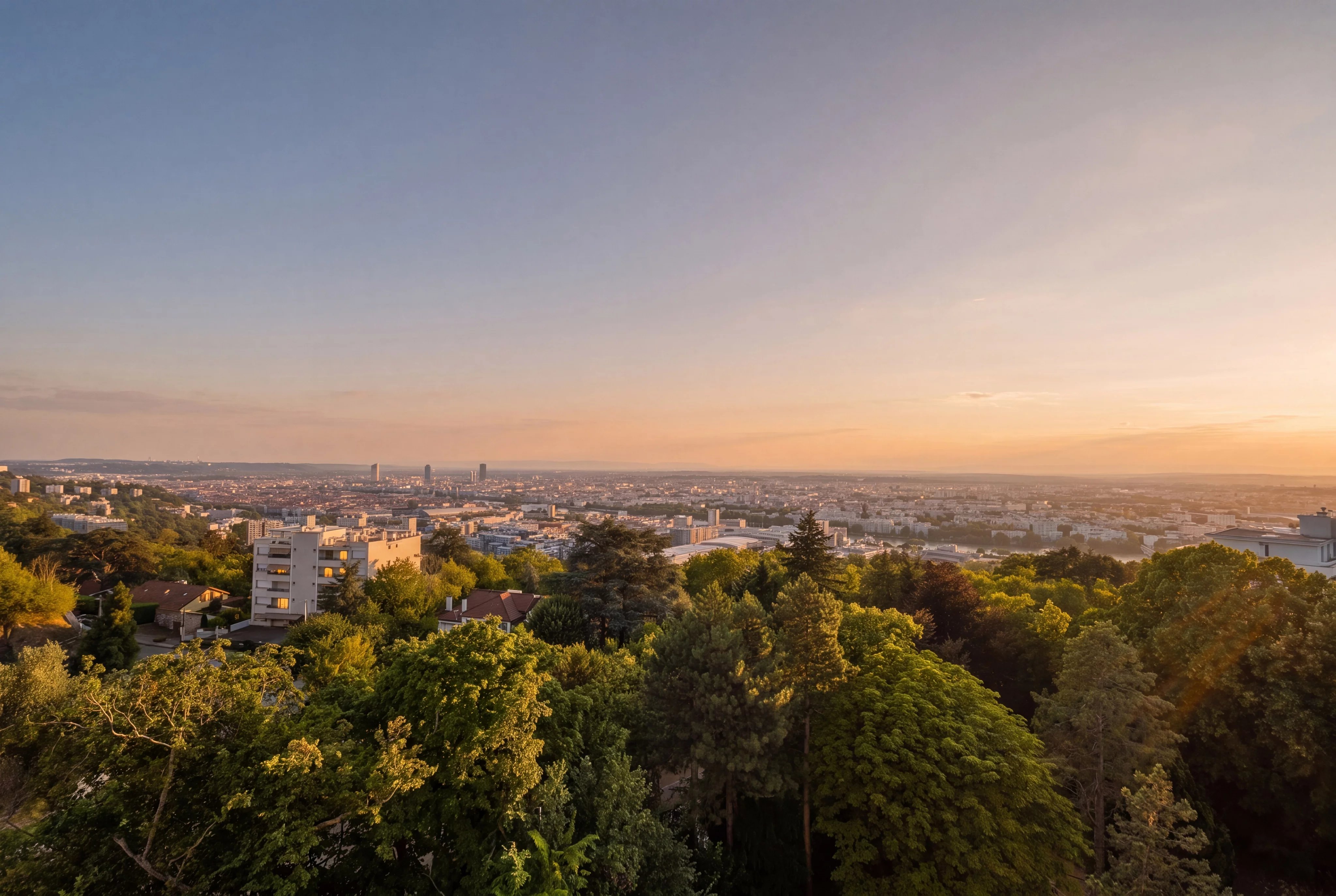 Agence immobilière de 
