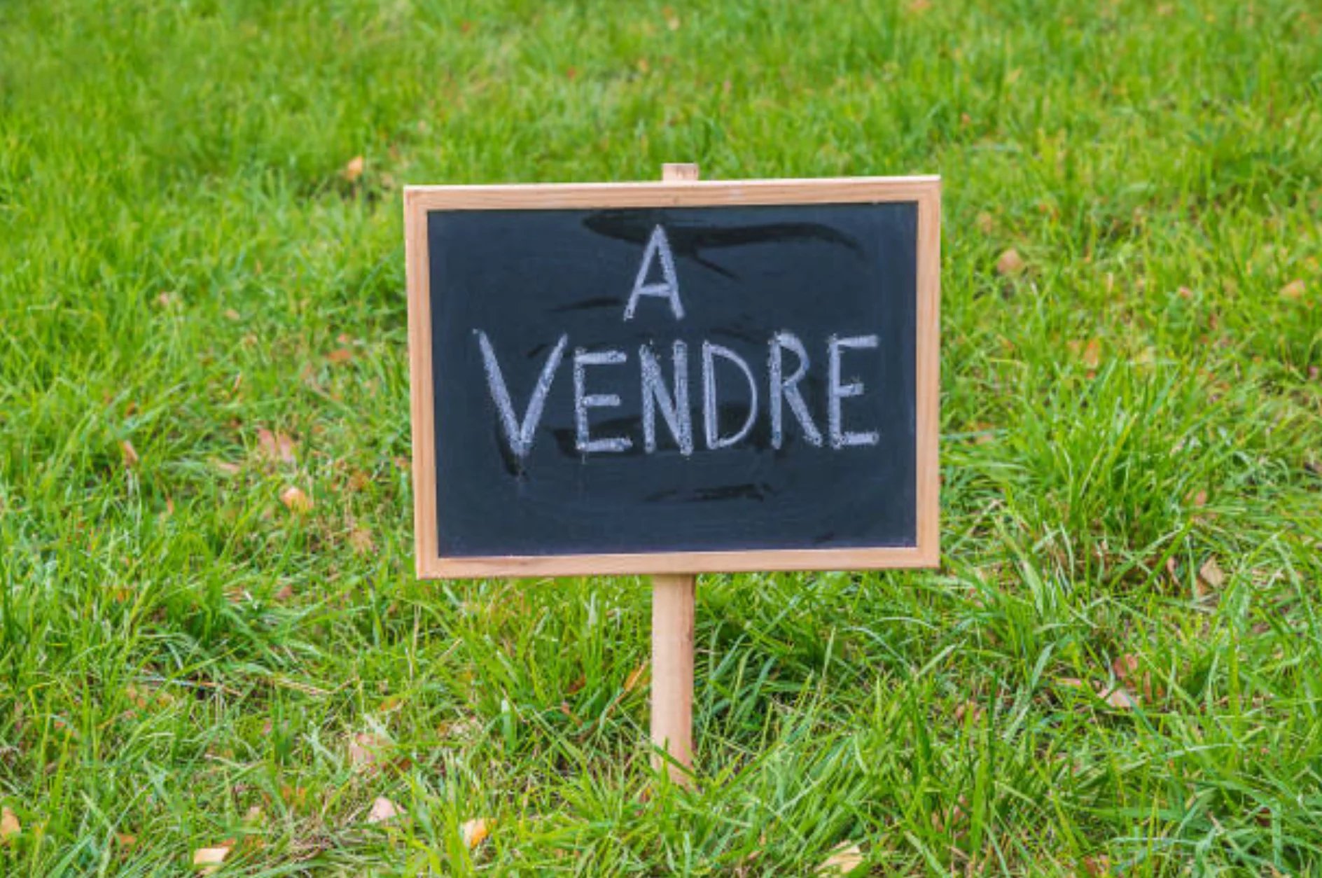 Agence immobilière de L'IMMOBILIÈRE DE LA LANDE