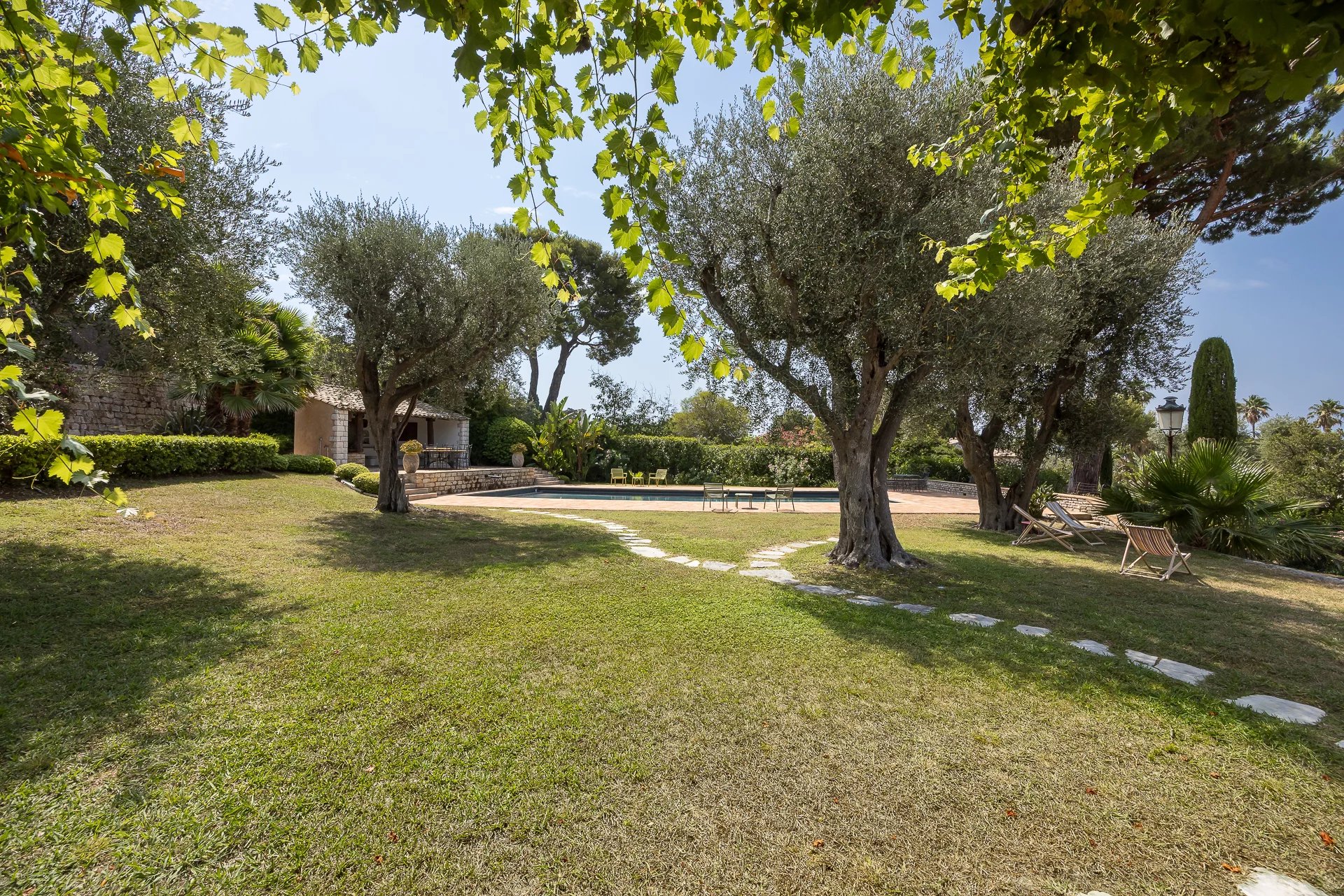 property_image