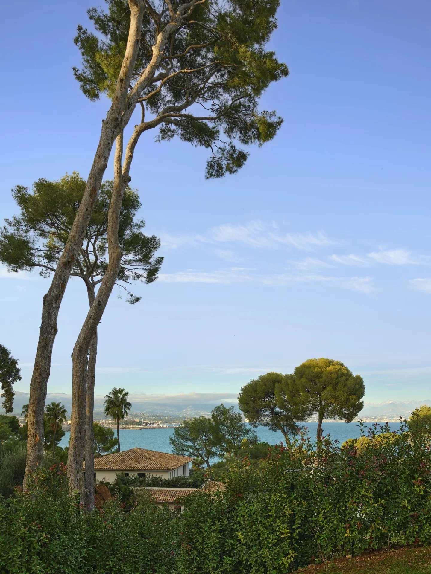 LUXUEUSE VILLA CONTEMPORAINE NEUVE - CAP D'ANTIBES