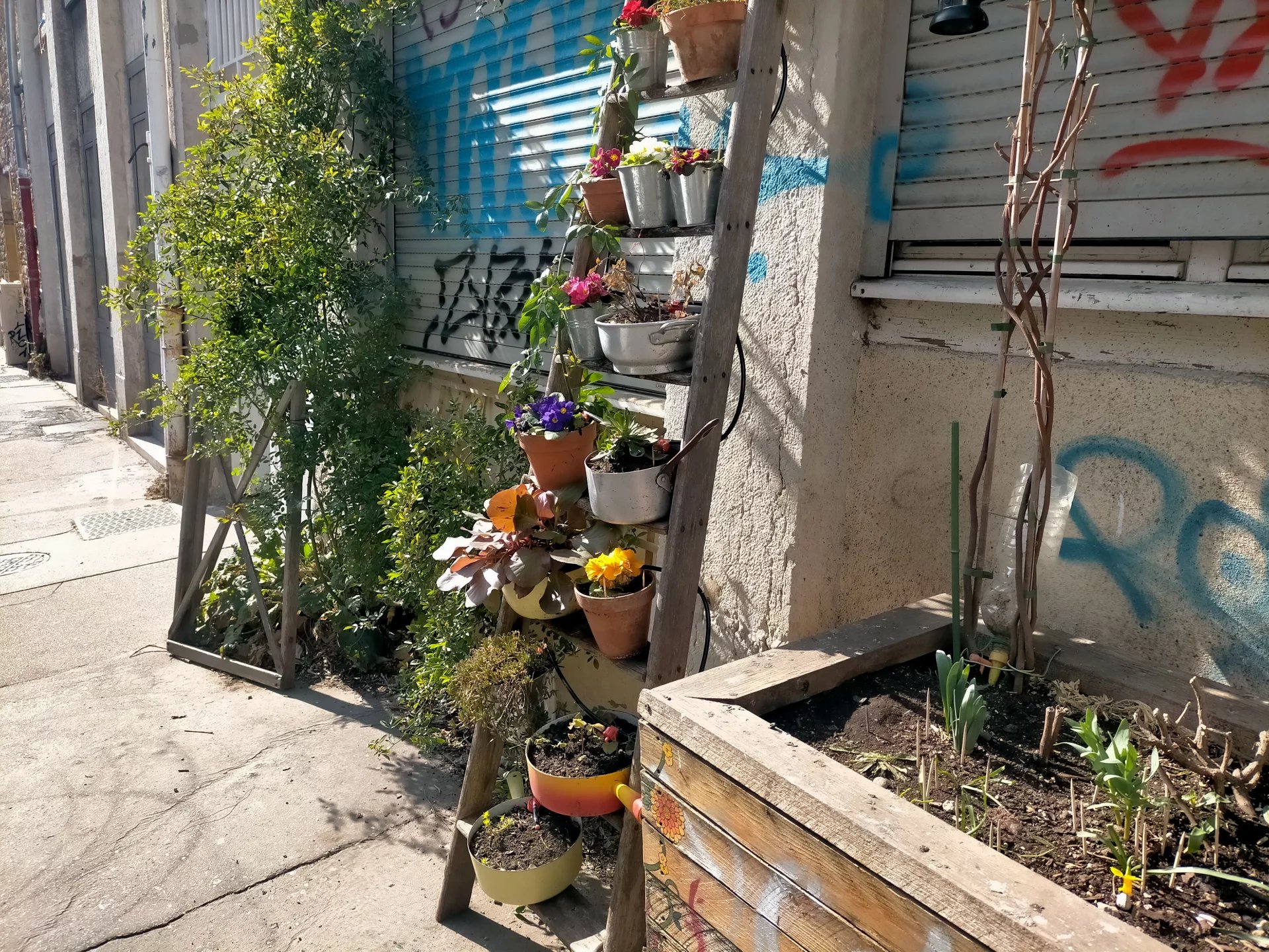 3850885 Location Lyon 7ème