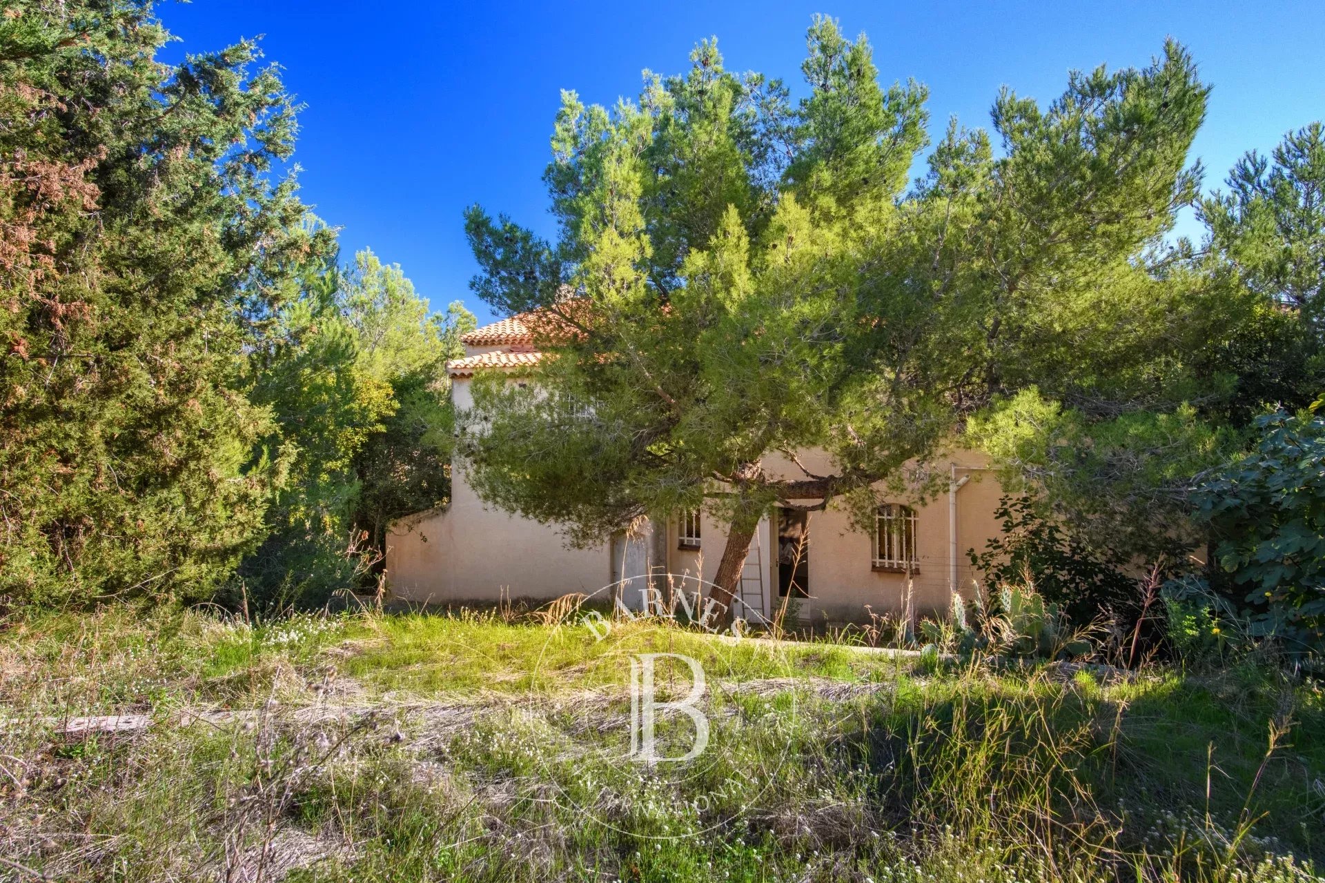 Villa Sausset-les-Pins - picture 20