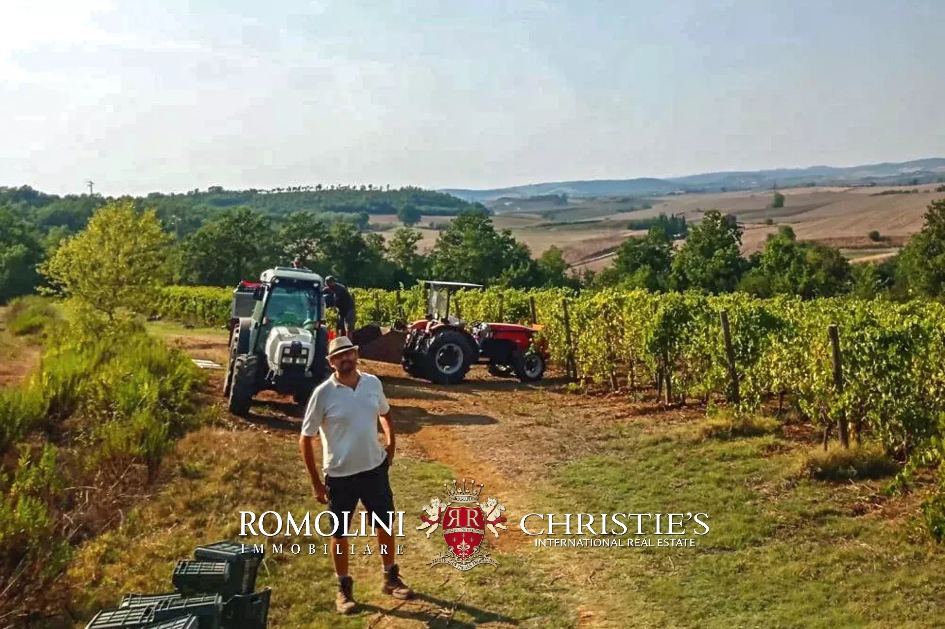 6 Bedroom Vineyard's Image 4
