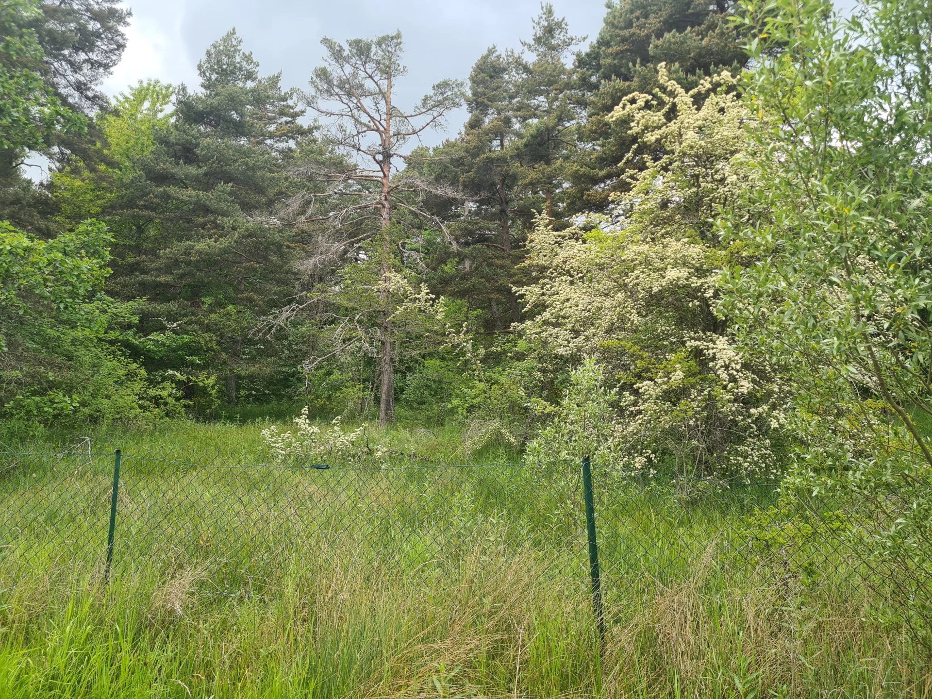 Agence immobilière de MISSIMMOBILIER