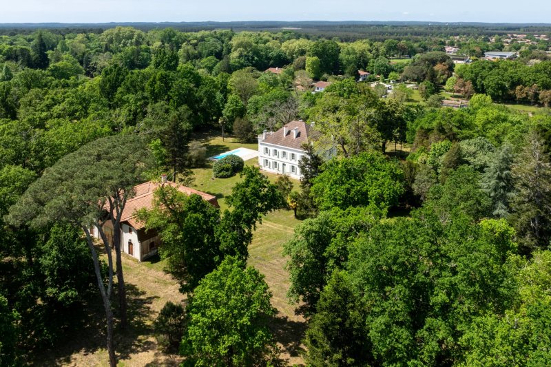 Zu verkaufen Immobilie | Linxe - picture 3