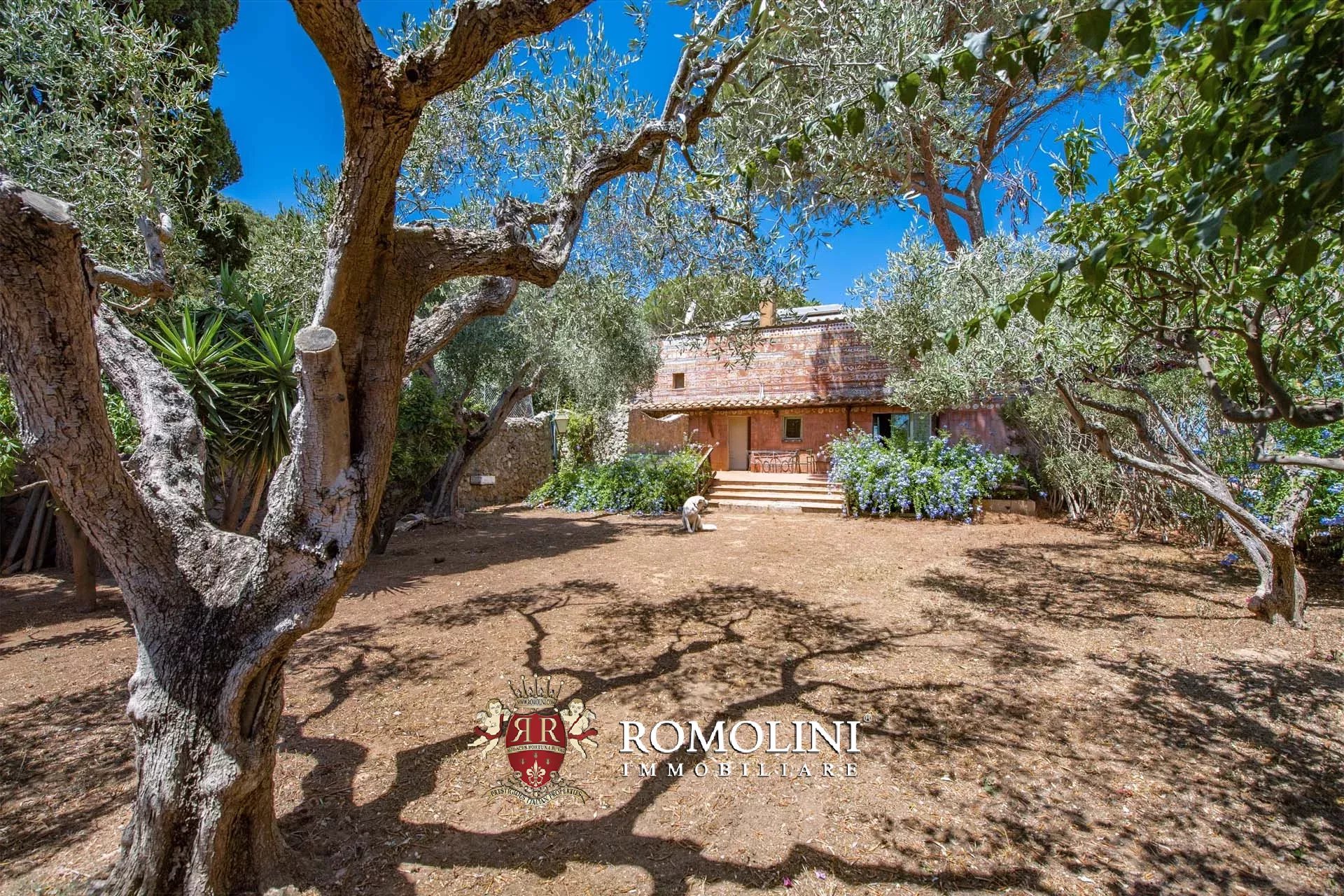 4 Bedroom Villa/Townhouse's Image 22