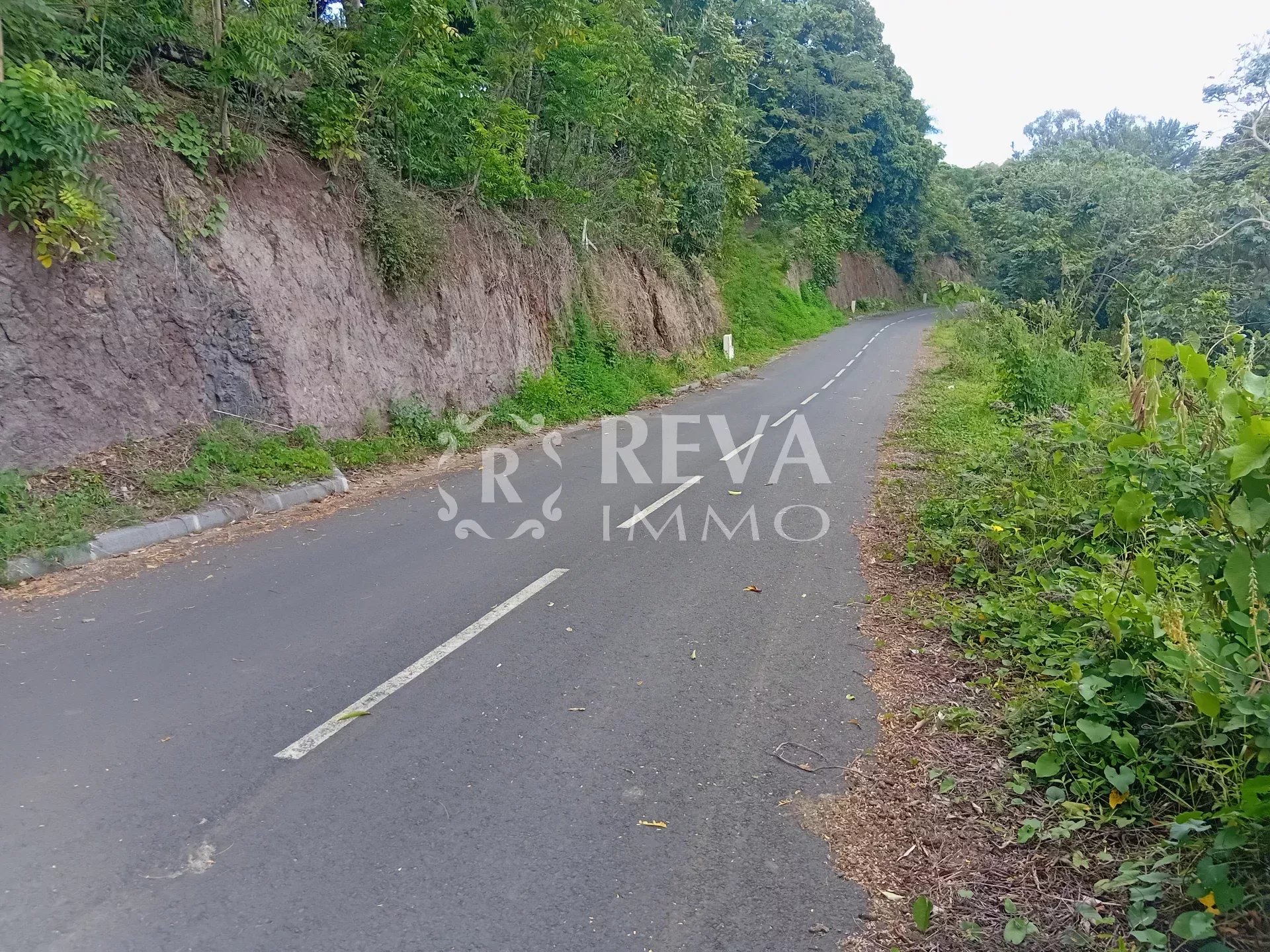 Vente Terrain Punaauia