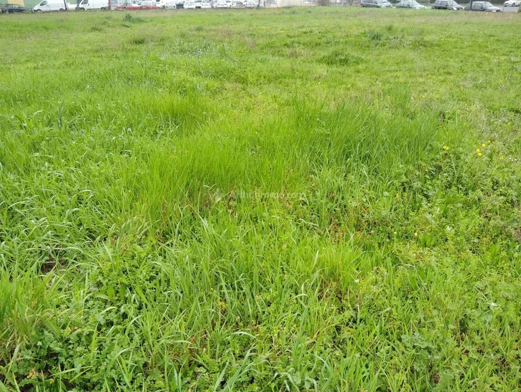Agence immobilière de Arthurimmo.com - Albi